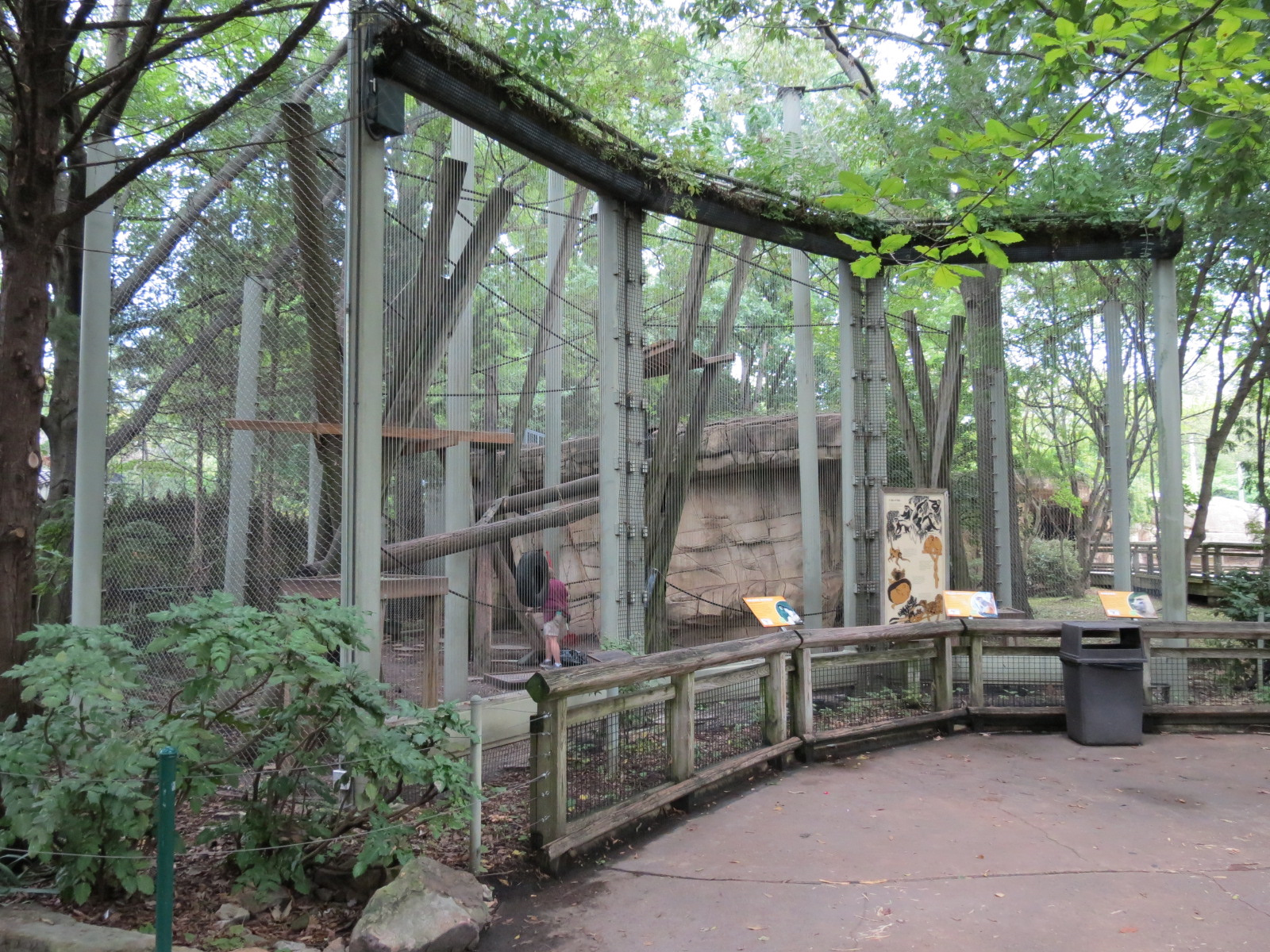 Primate Canyon - Colobus Monkey, Patas Monkey, and Savanna Baboon Exhibit