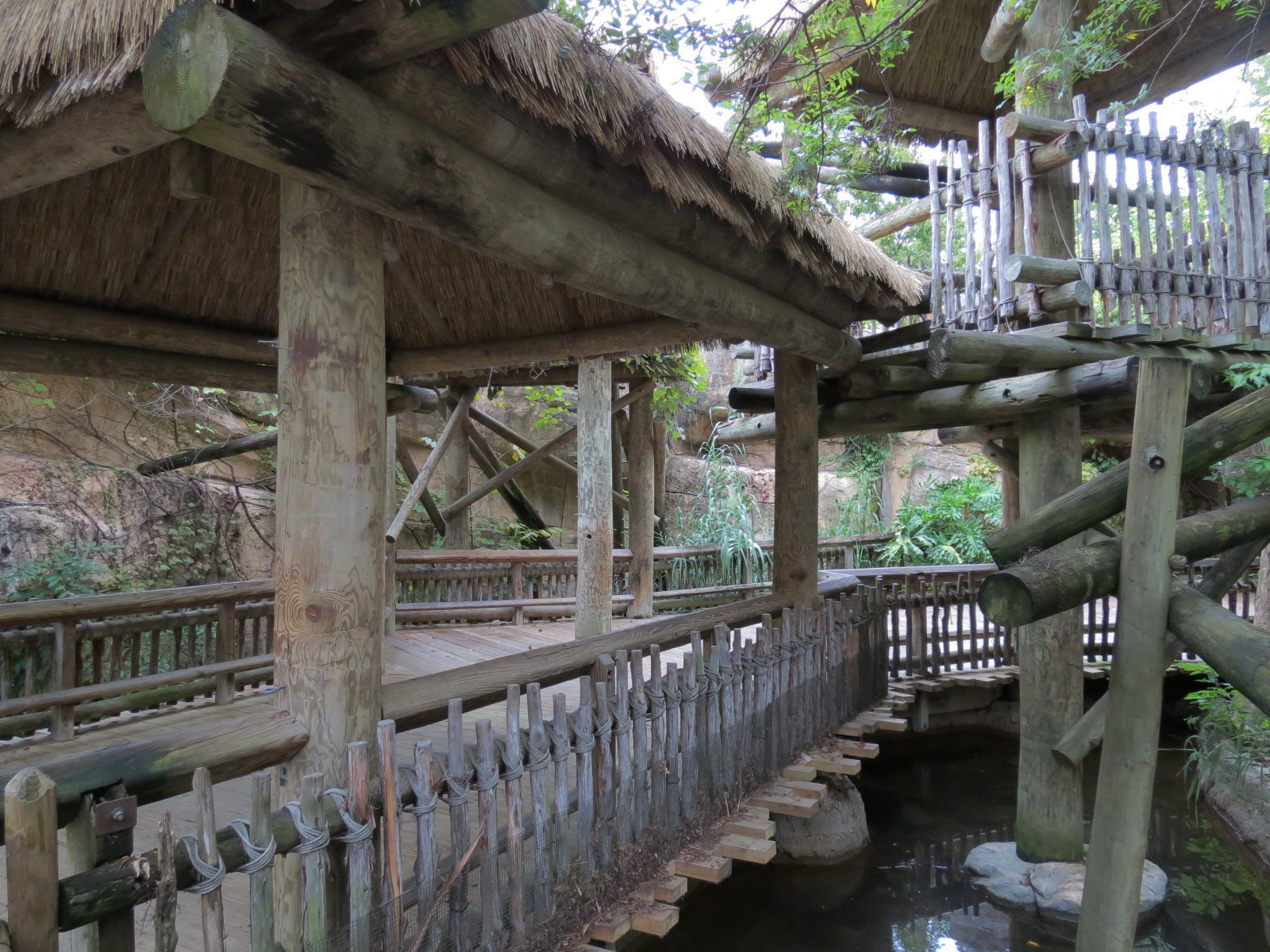 Primate Canyon - Entrance