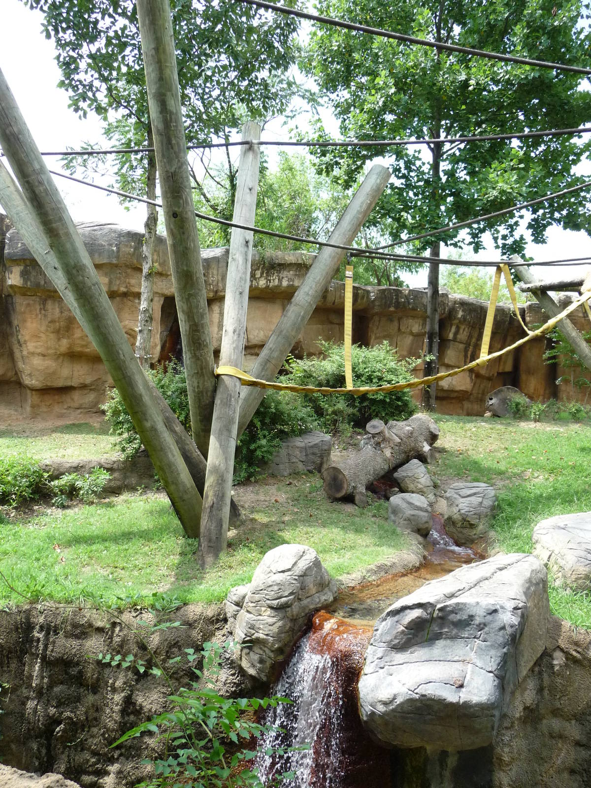 Primate Canyon - Gorilla Exhibit