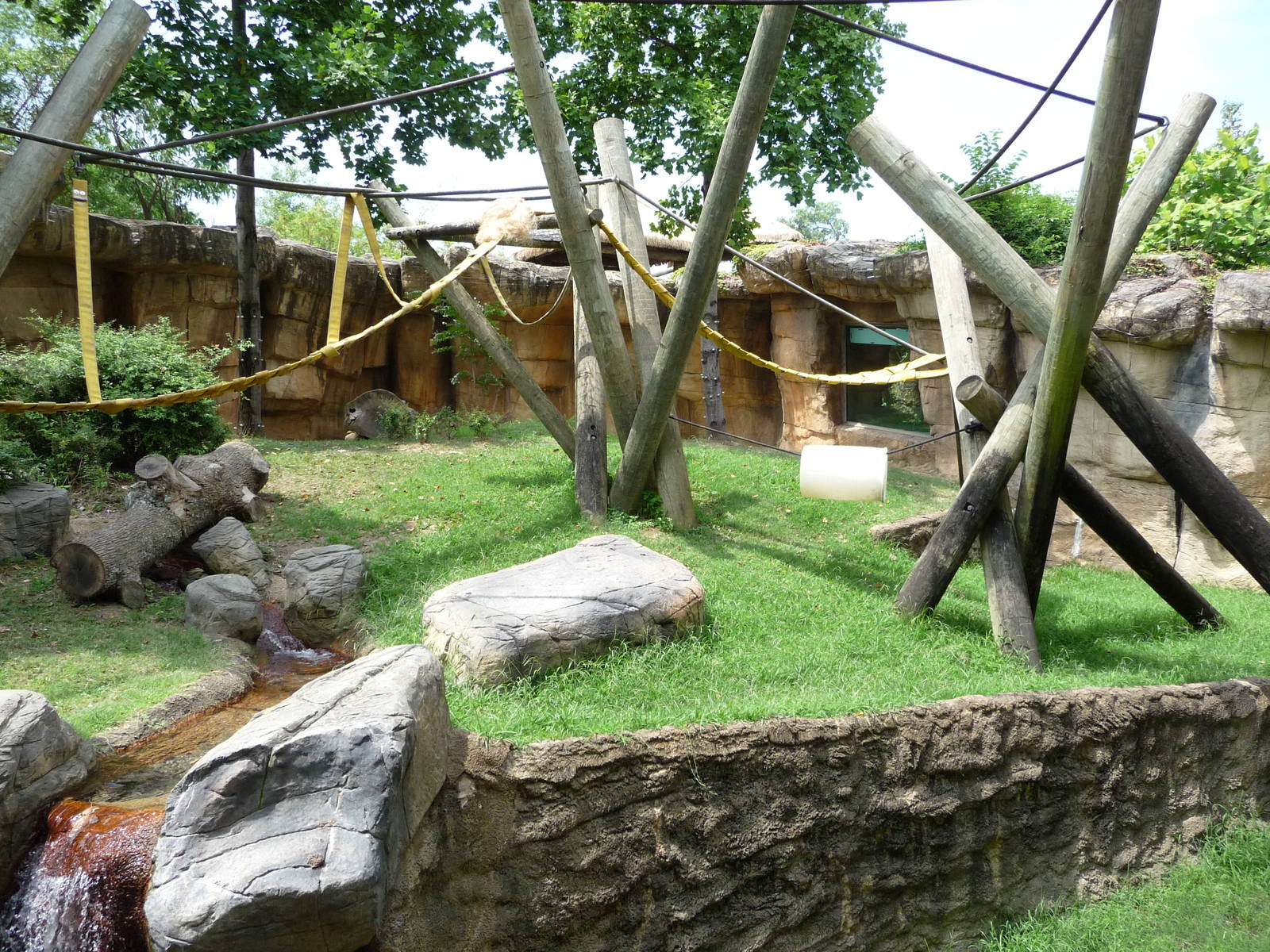 Primate Canyon - Gorilla Exhibit