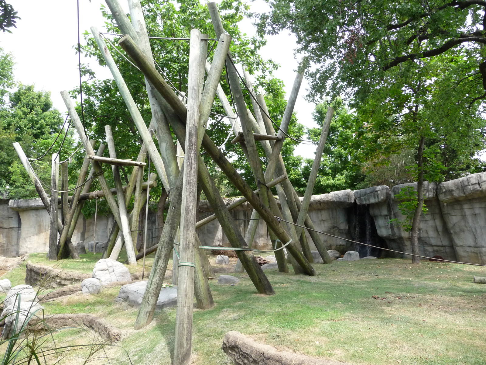 Primate Canyon - Orangutan/Siamang Exhibit