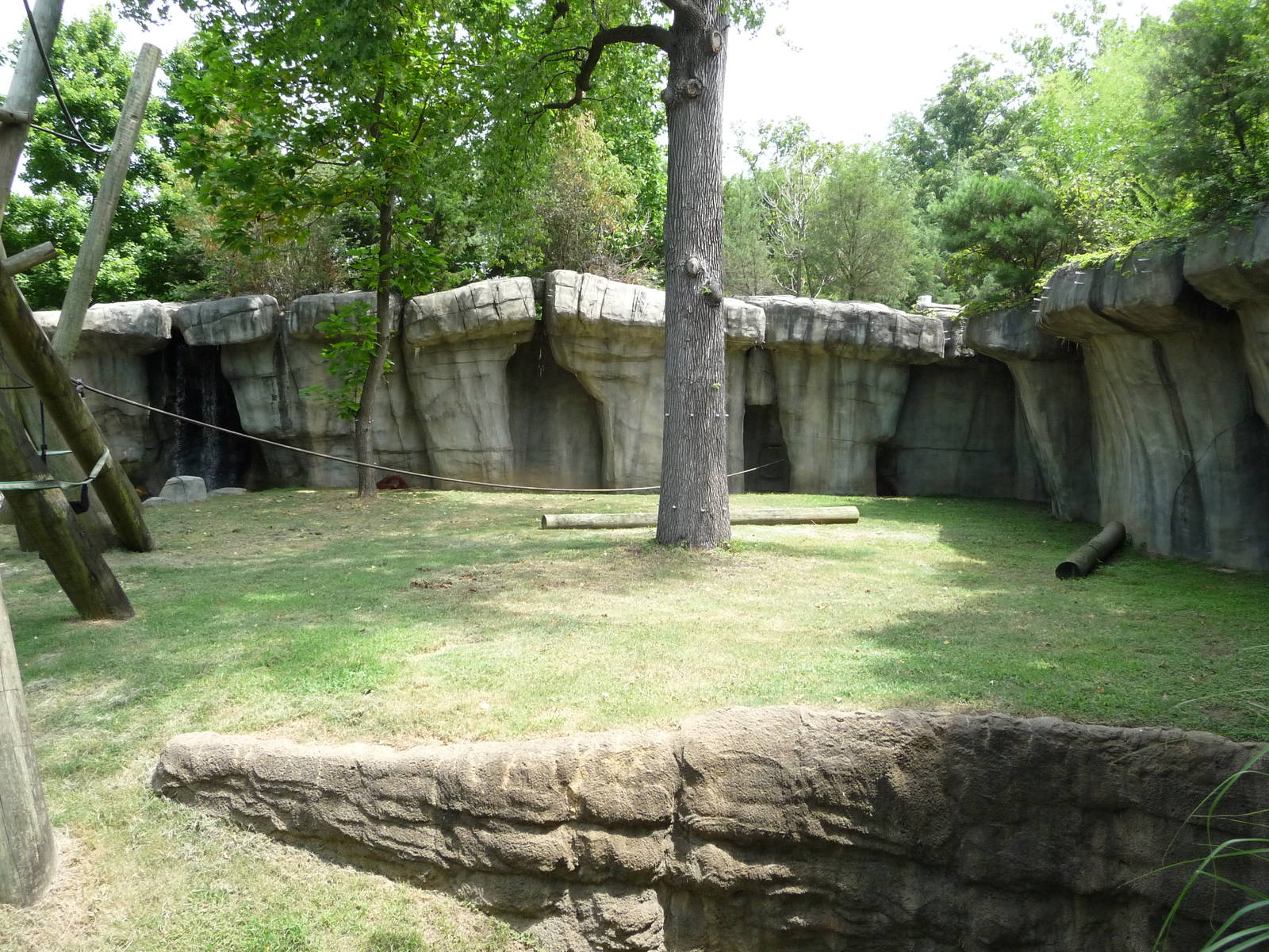 Primate Canyon - Orangutan/Siamang Exhibit