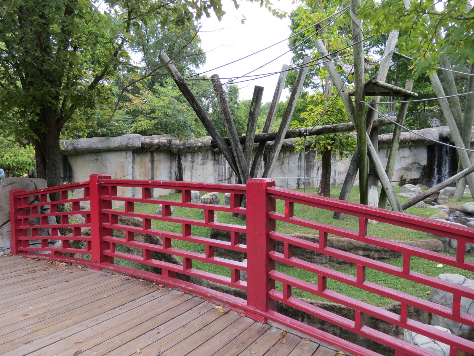 Primate Canyon - Siamang and Sumatran Orangutan Exhibit