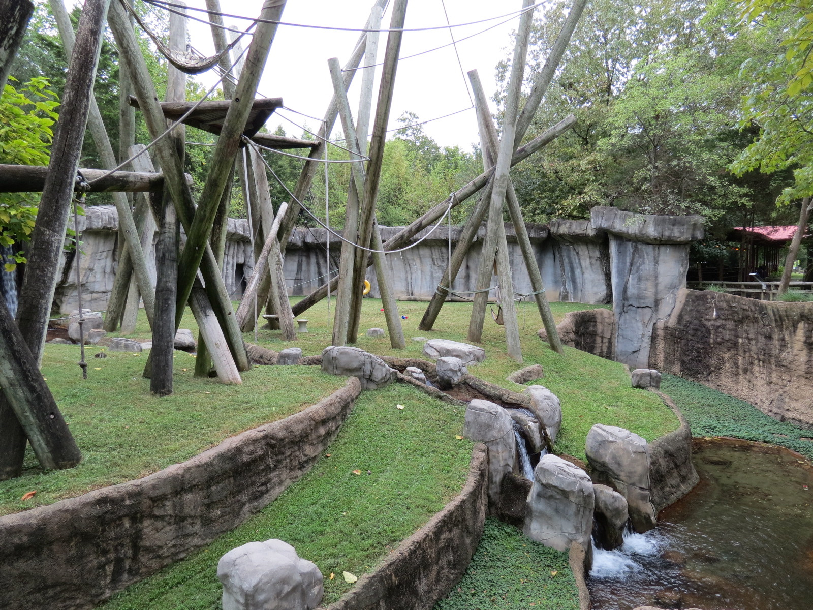 Primate Canyon - Siamang and Sumatran Orangutan Exhibit
