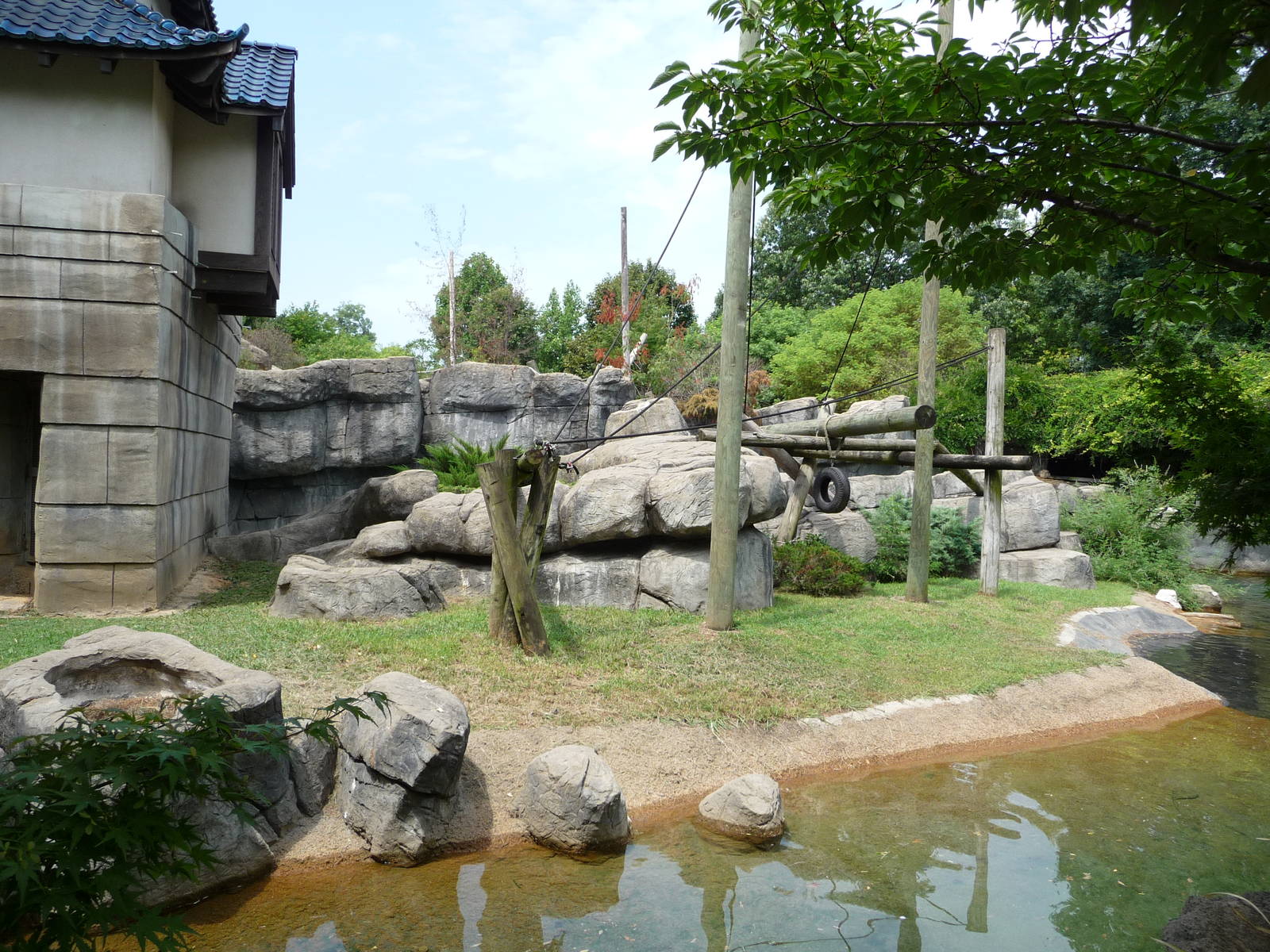 Primate Canyon - Sulawesi Macaque Exhibit