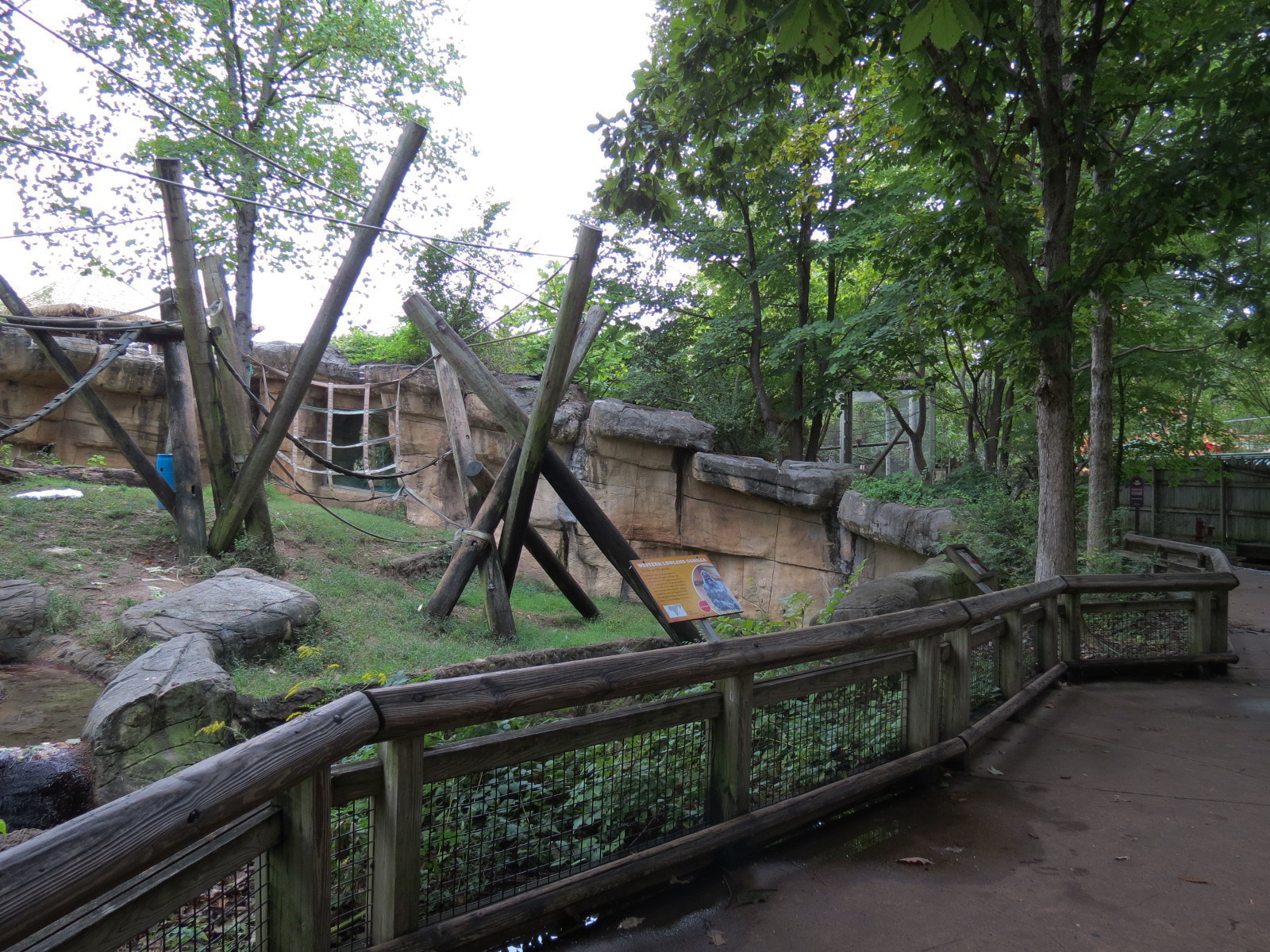 Primate Canyon - Western Lowland Gorilla Exhibit