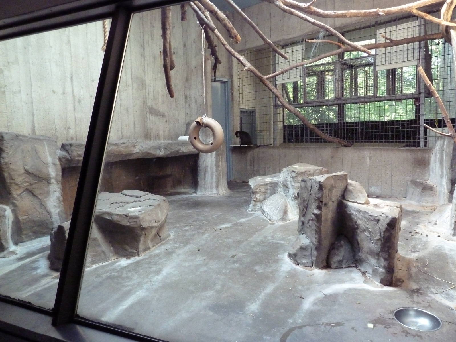 Primate, Cat + Aquatics Building - Allen's Swamp Monkey Exhibit