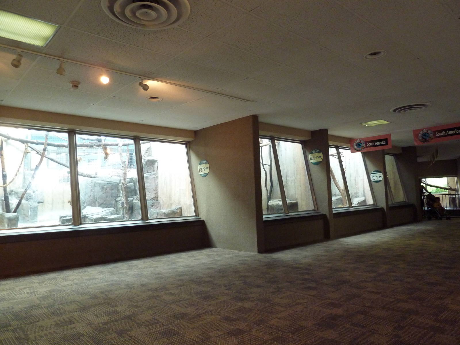 Primate, Cat + Aquatics Building - Black Howler Monkey + Three-Banded Armad