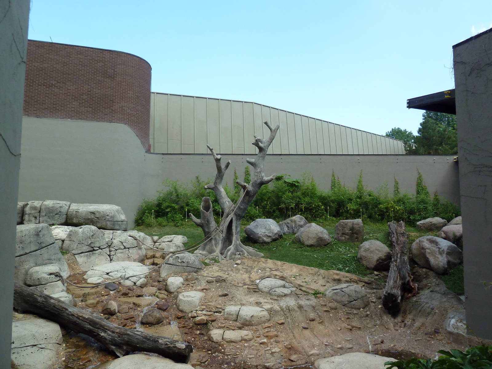 Primate, Cat + Aquatics Building - Gorilla Exhibit