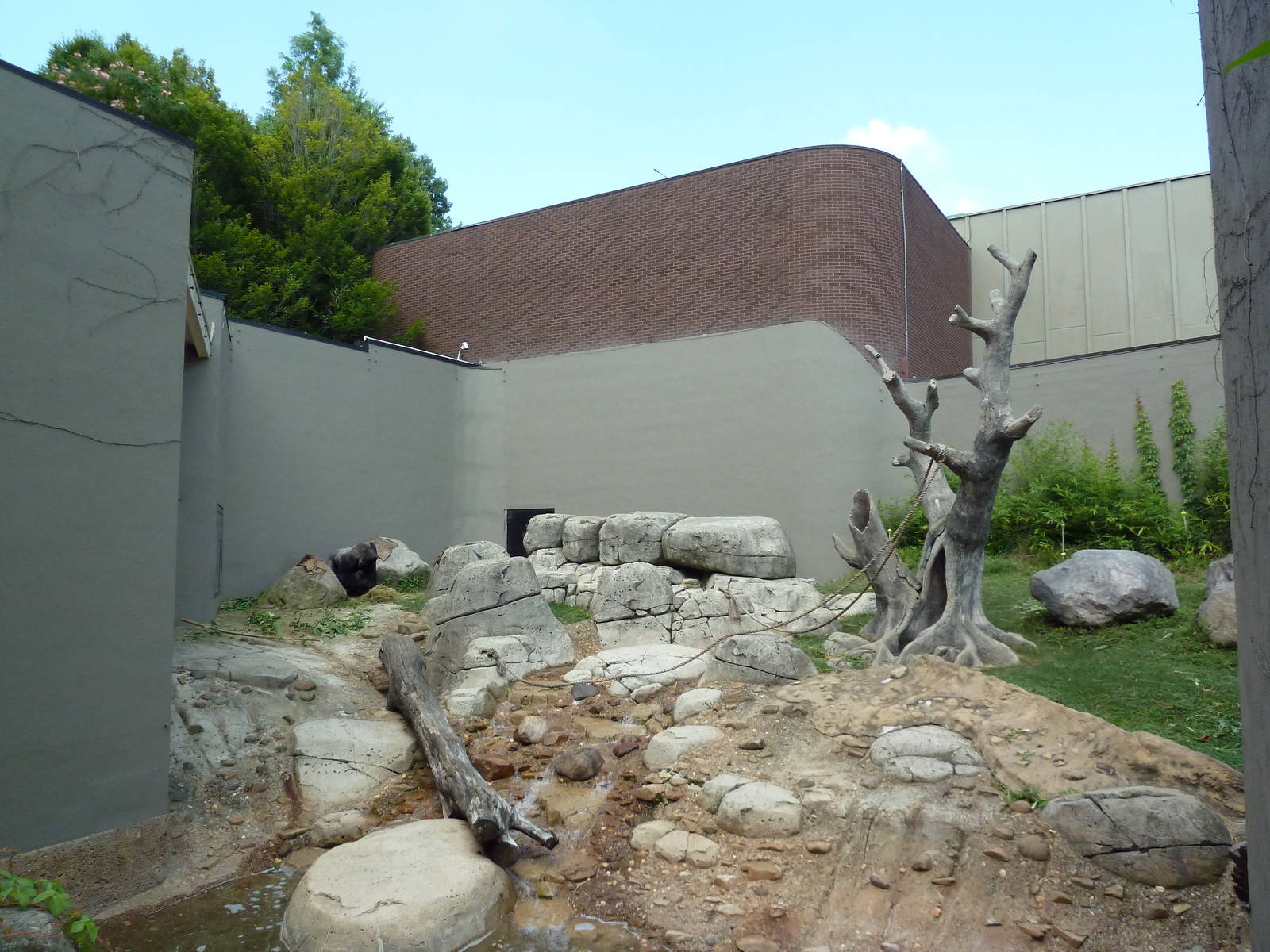 Primate, Cat + Aquatics Building - Gorilla Exhibit