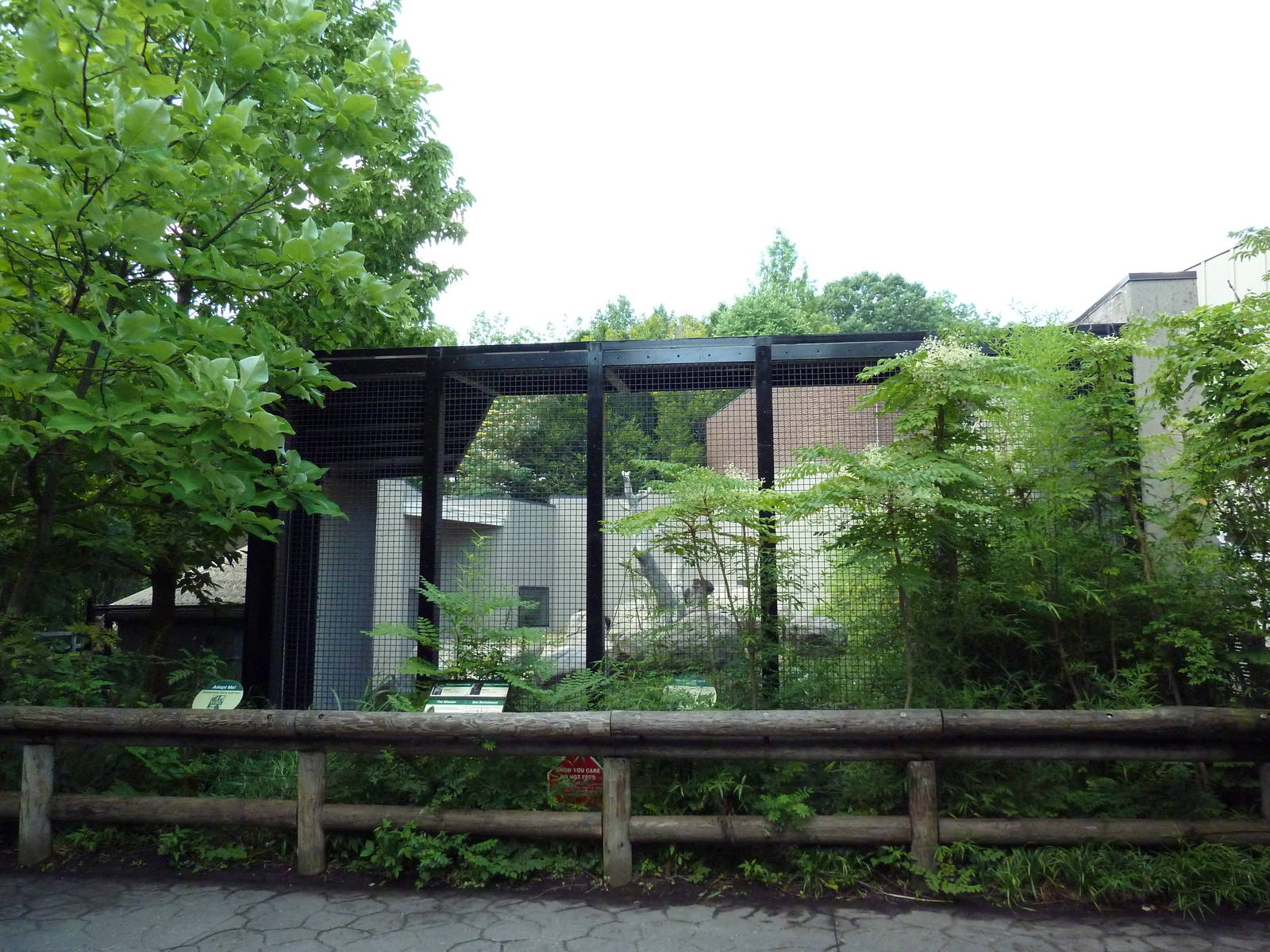 Primate, Cat + Aquatics Building - Gorilla Exhibit