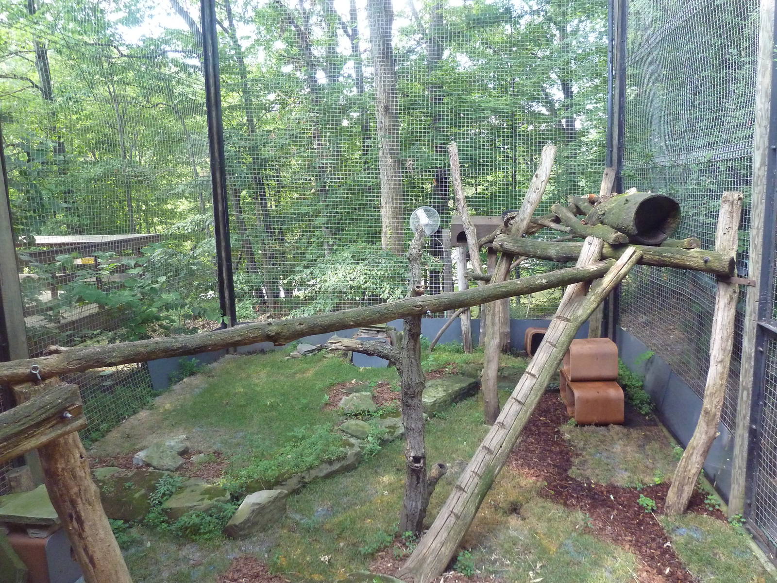 Primate, Cat + Aquatics Building - Red Panda Exhibit
