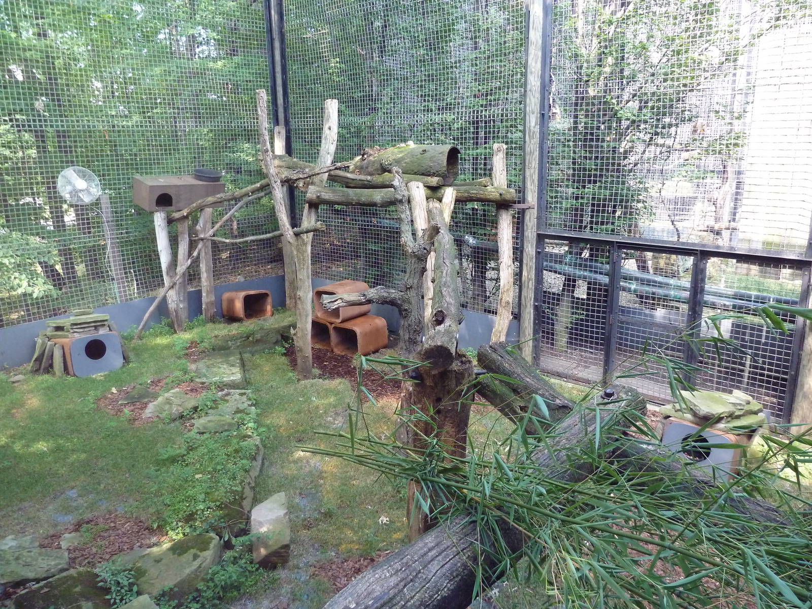 Primate, Cat + Aquatics Building - Red Panda Exhibit