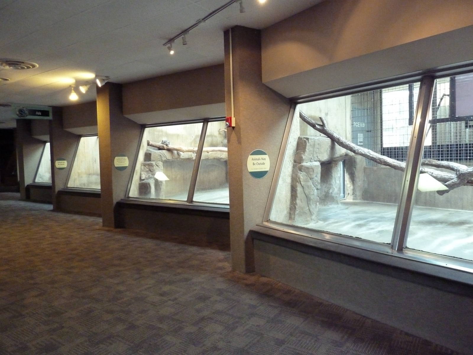 Primate, Cat + Aquatics Building