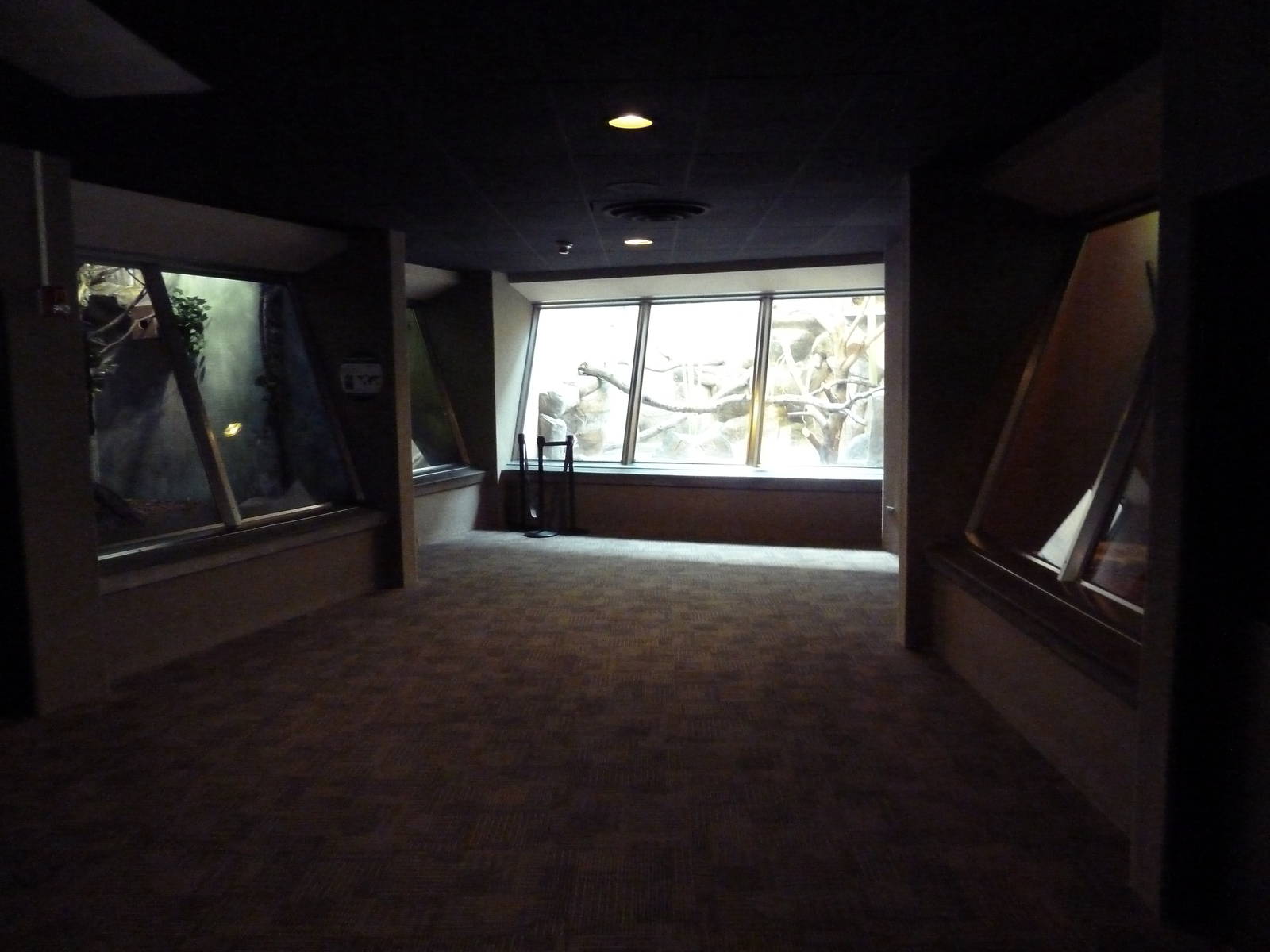 Primate, Cat + Aquatics Building