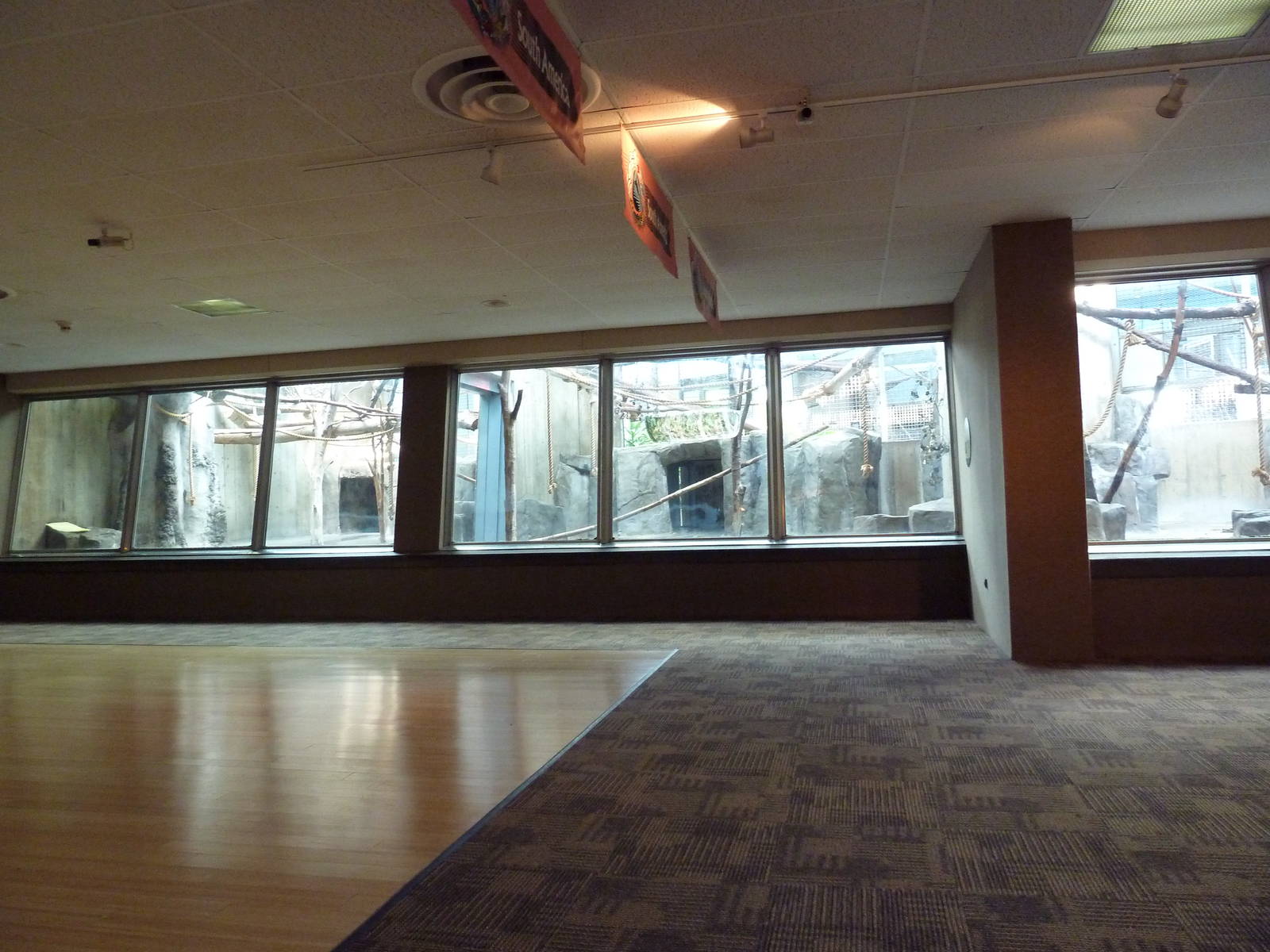 Primate, Cat + Aquatics Building