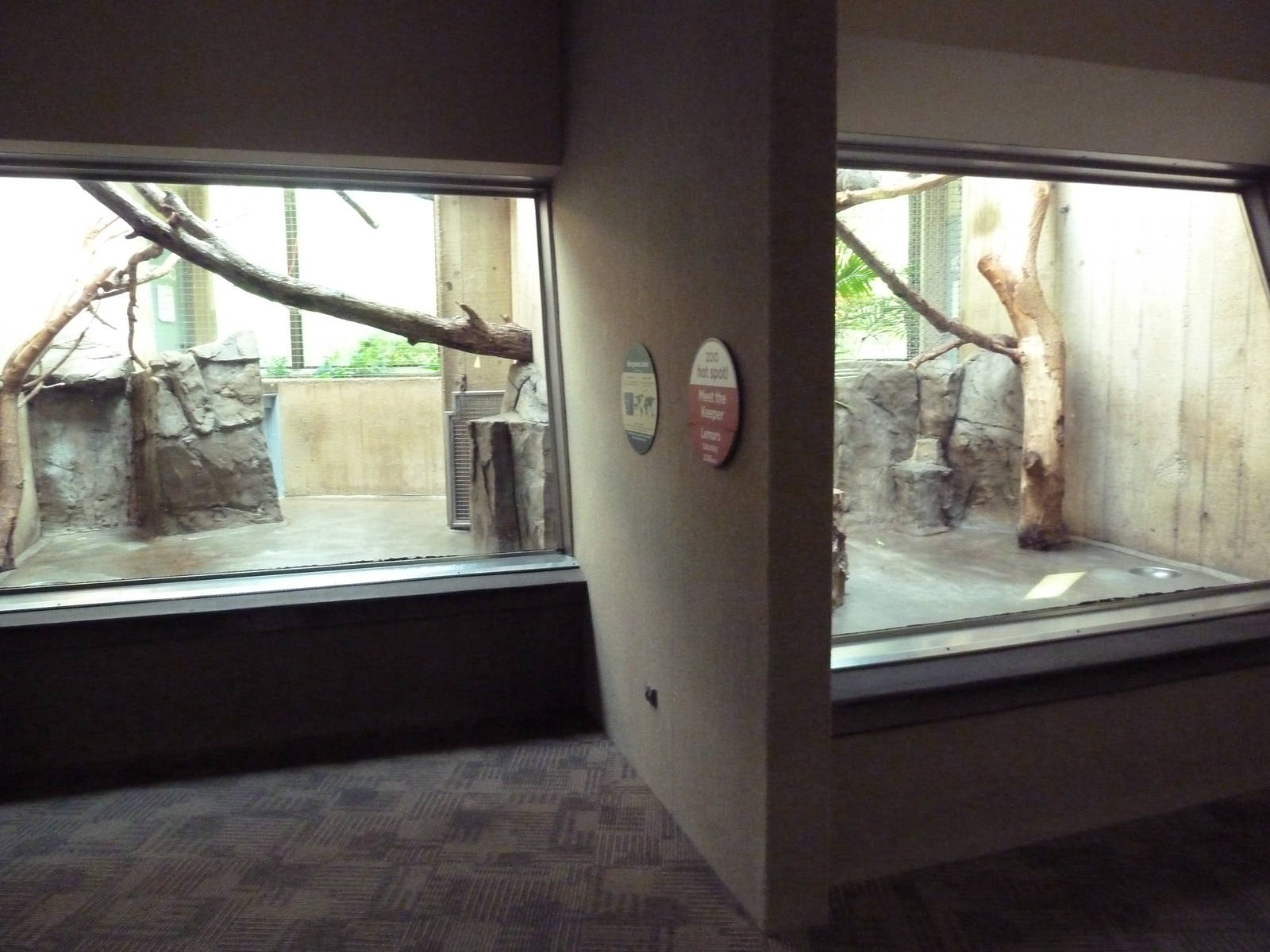 Primate, Cat + Aquatics Building