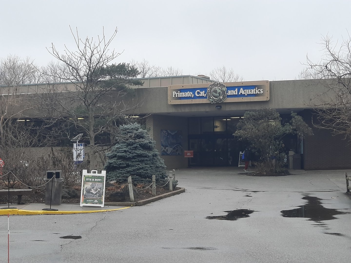 Primate, Cats and Aquatics