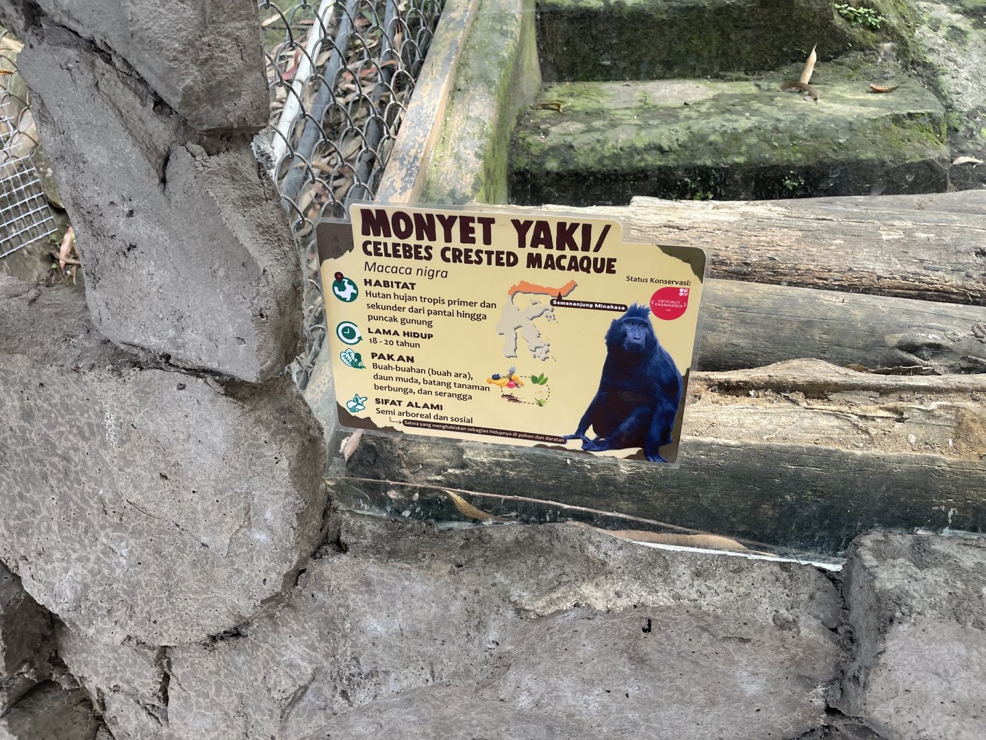 primate cave - celebes crested macaque signage