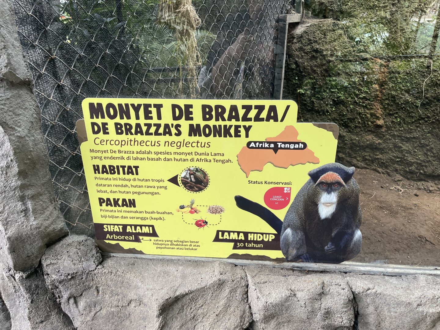 primate cave - de brazza’s monkey signage