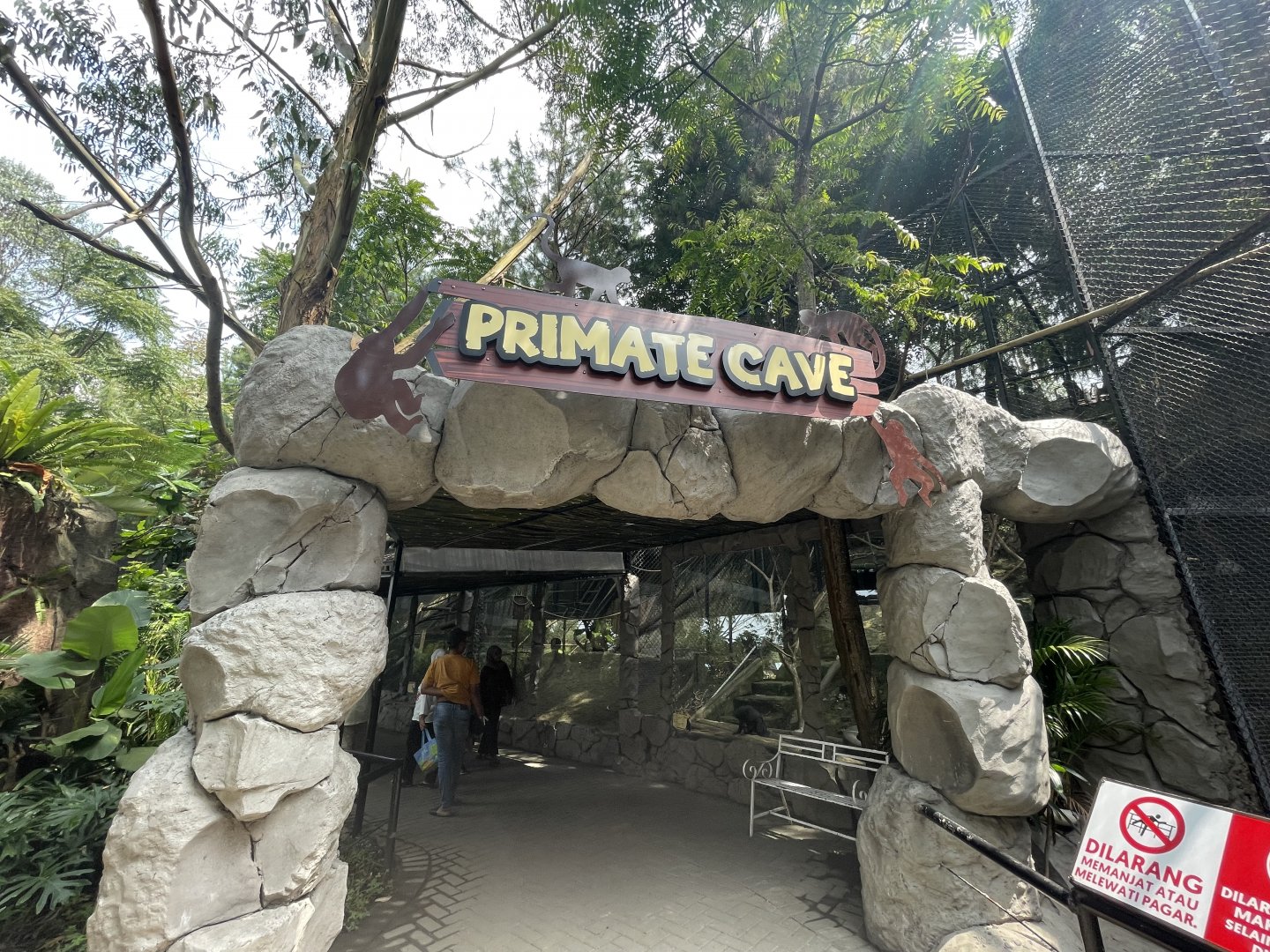 primate cave (view from enter)