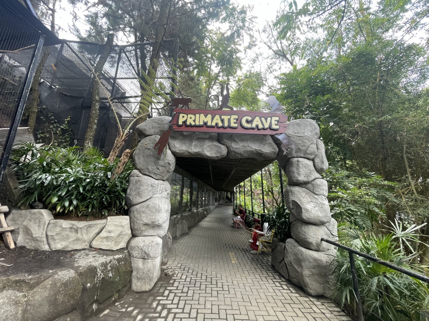 primate cave (view from exit)