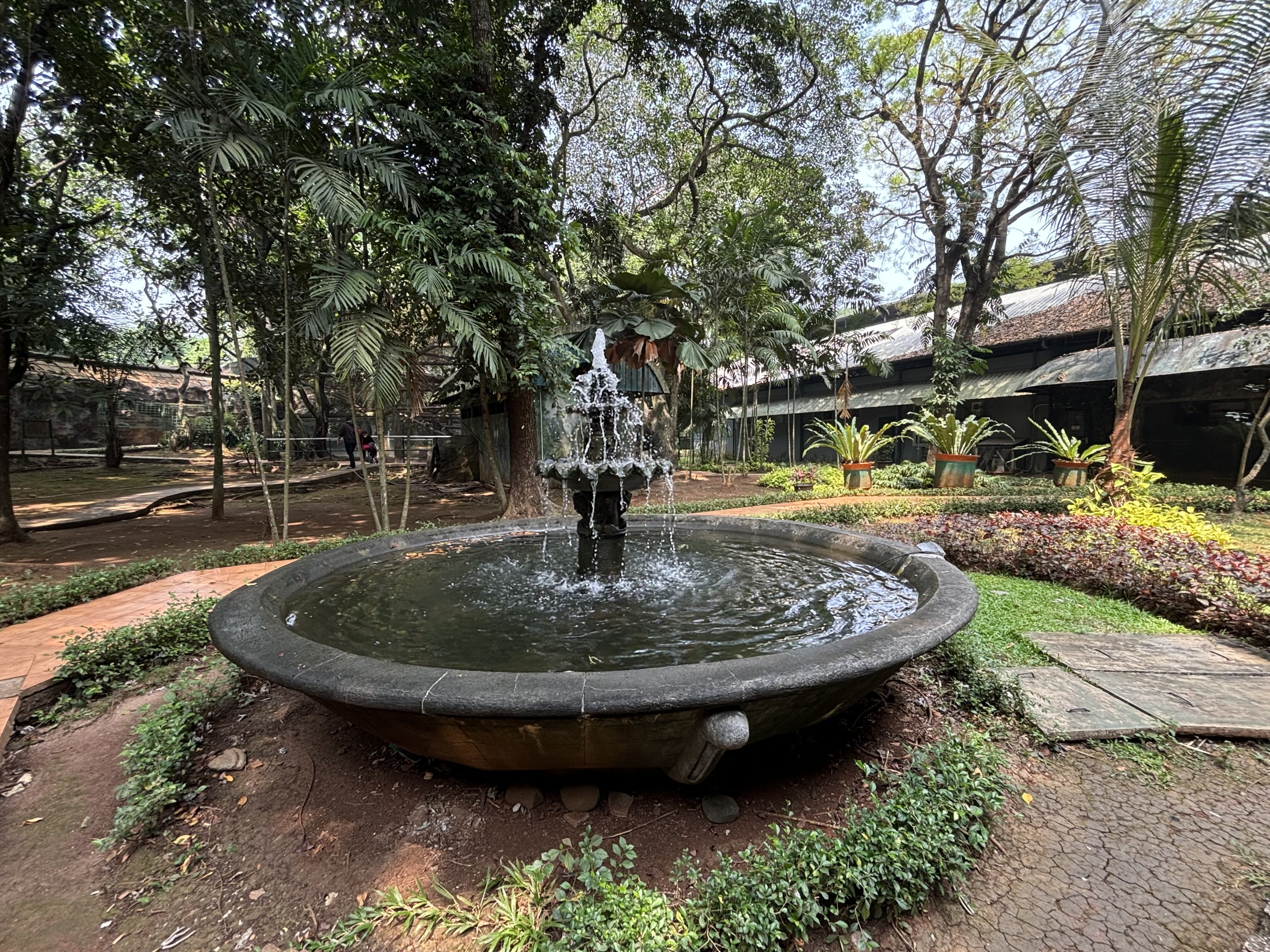Primate Center Fountain