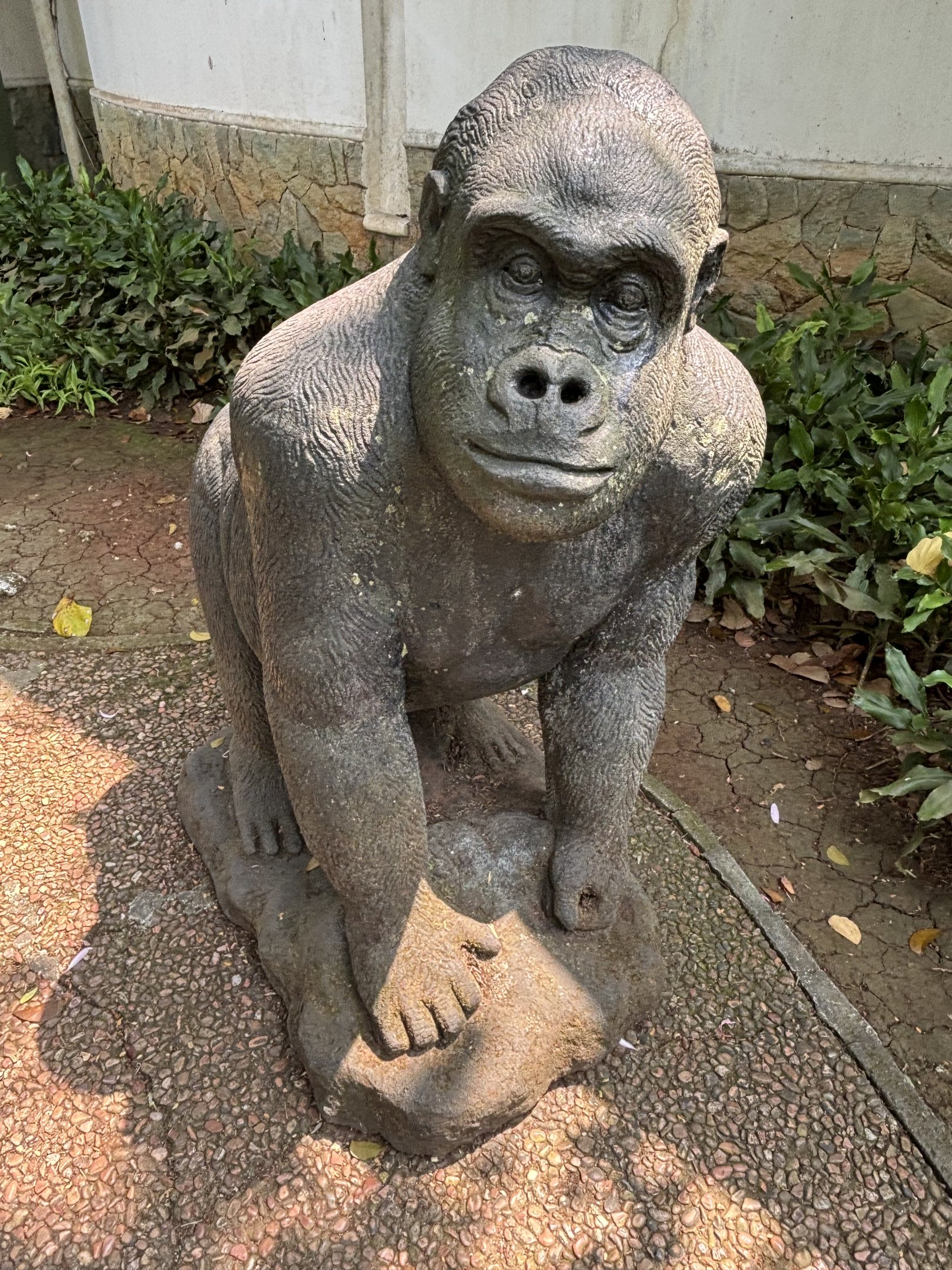 Primate Center Gorilla Statue #2