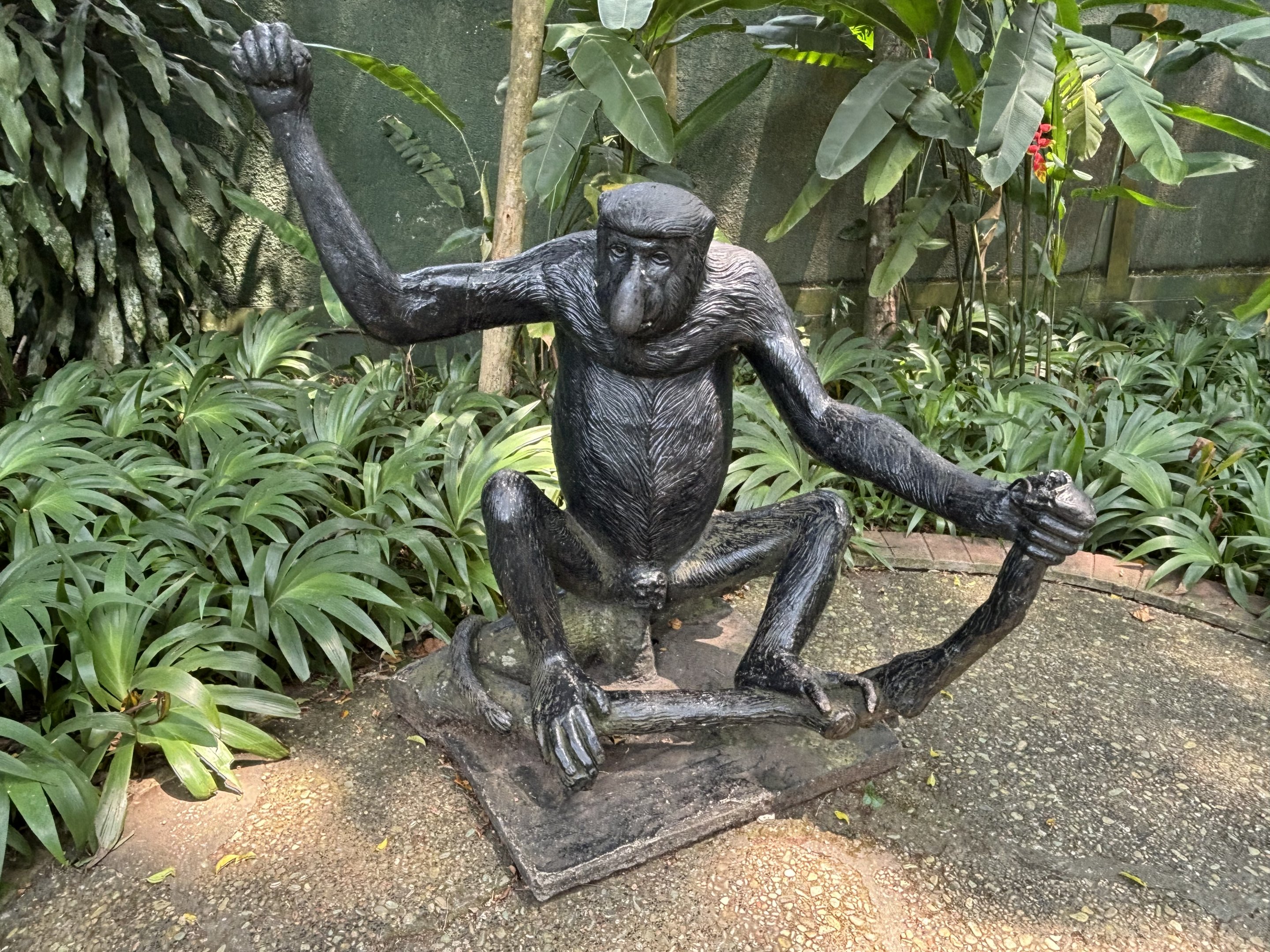 Primate Center Proboscis Monkey Statue
