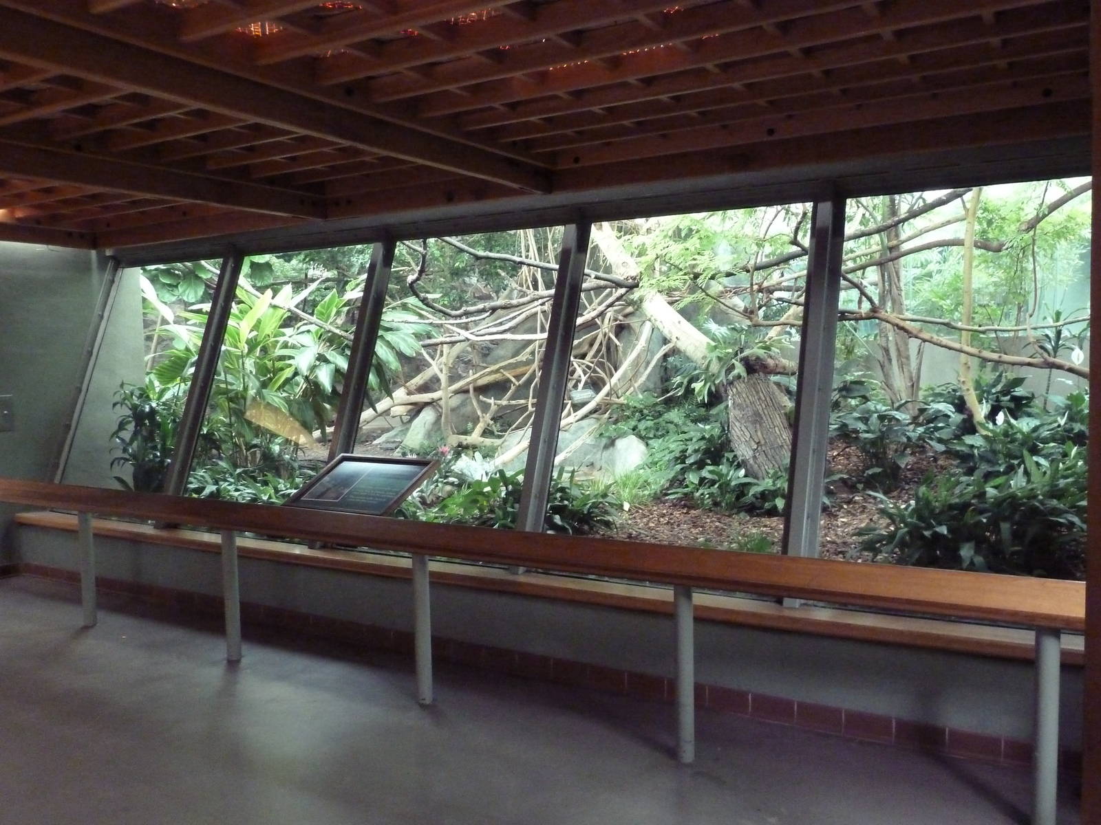 Primate Complex - Goeldi's Monkey Exhibit