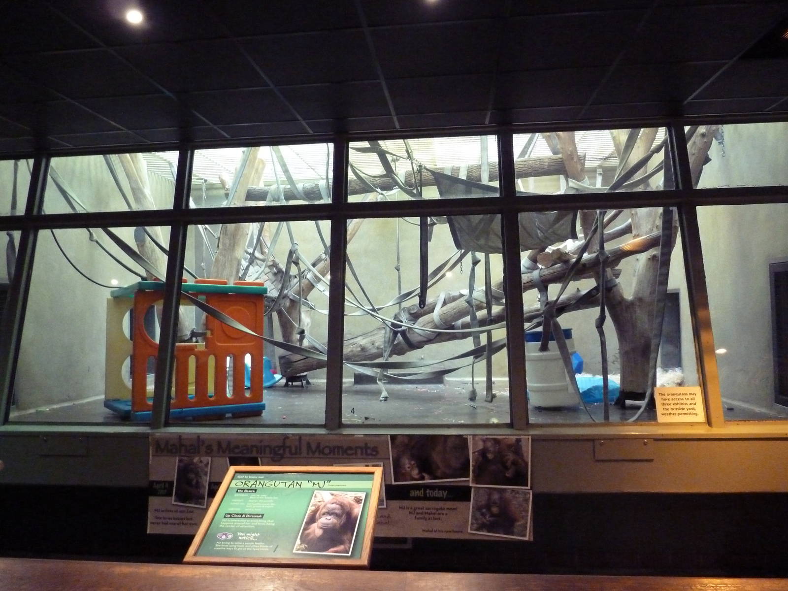 Primate Complex - Orangutan Exhibit