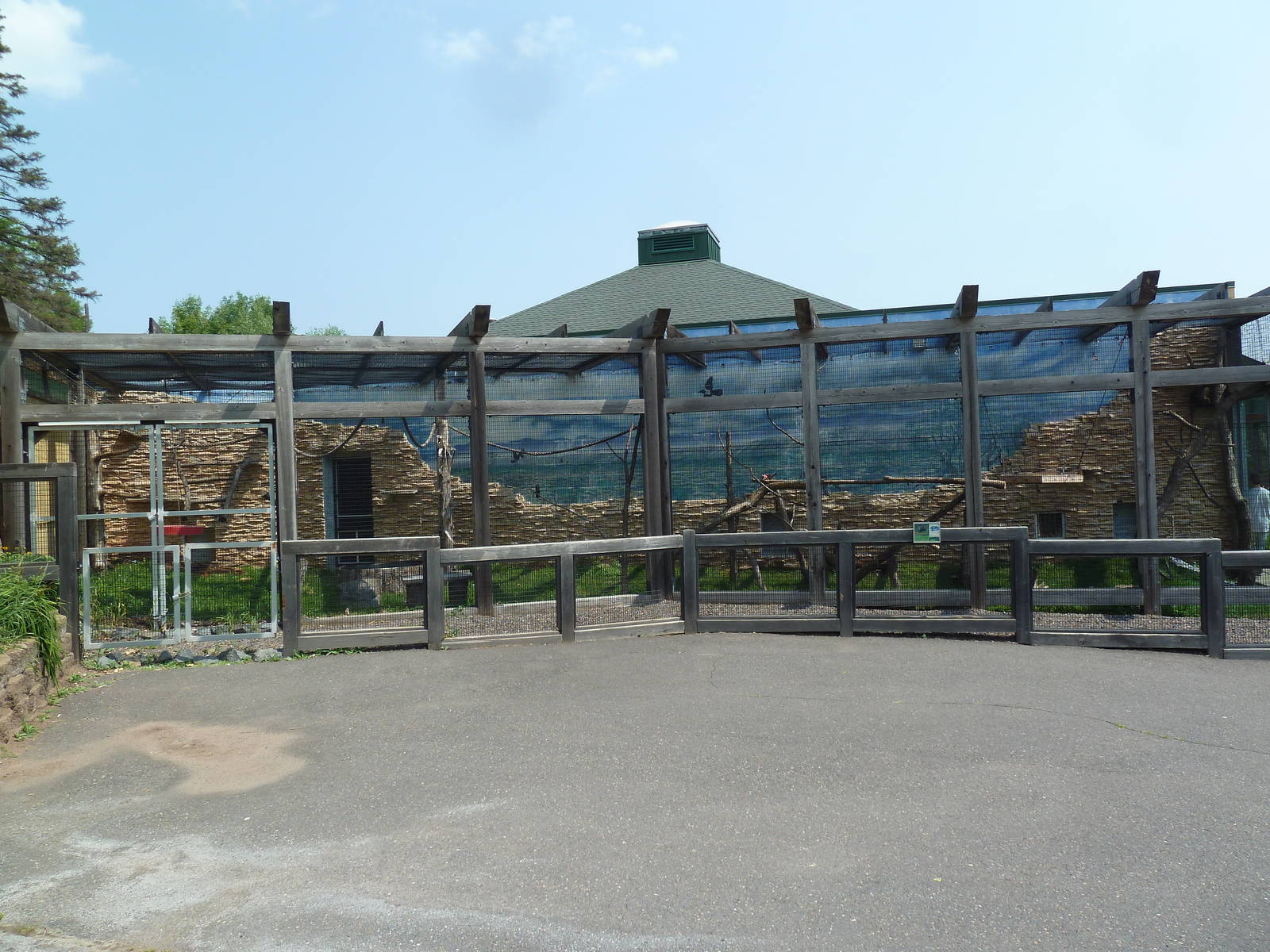 Primate Conservation Center - Allen's Swamp Monkey Exhibit