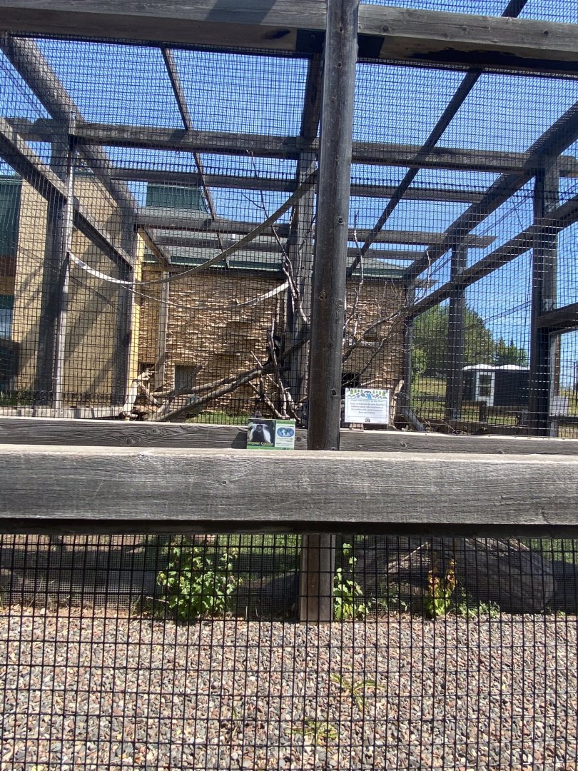 Primate conservation center colobus monkey and cape porcupine exhibit