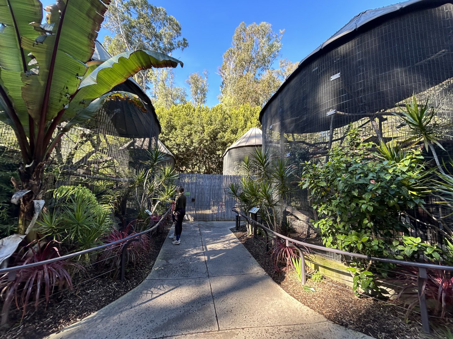 Primate Crib Cages (lemurs & langurs) - Bear Canyon
