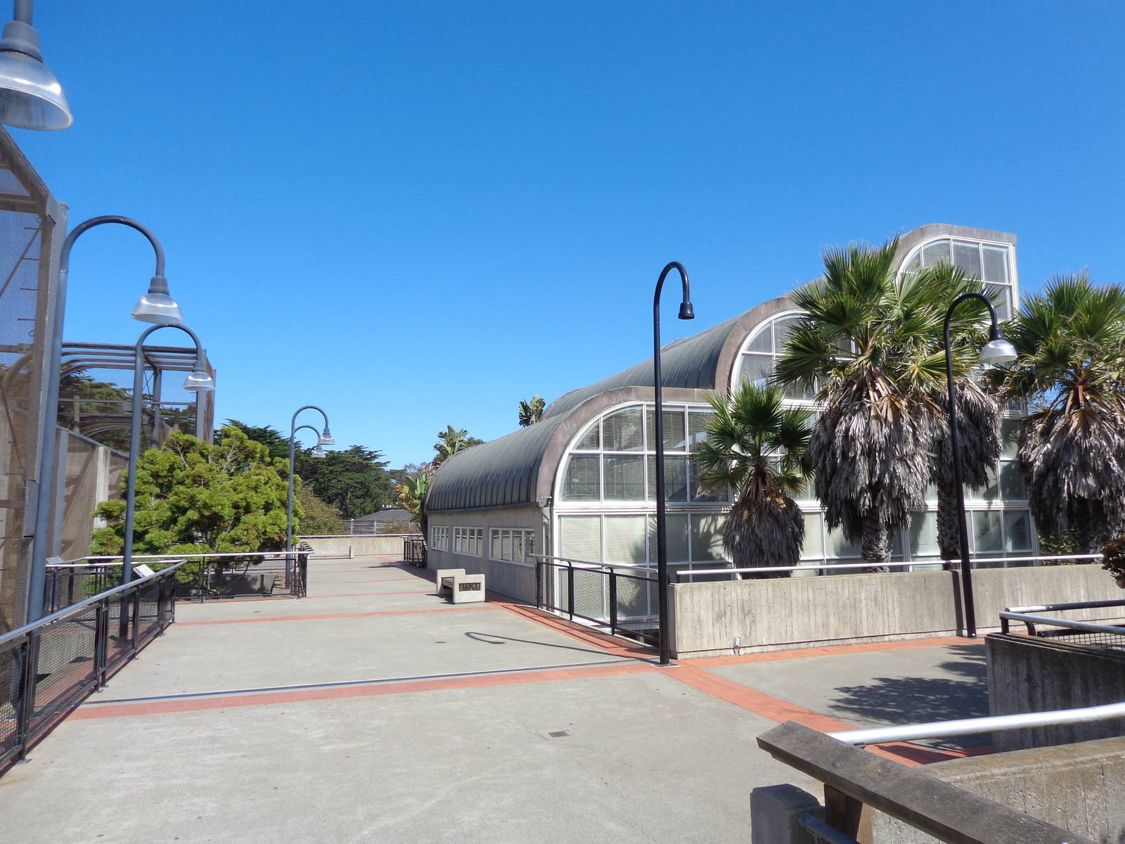 Primate Discovery Center  #1