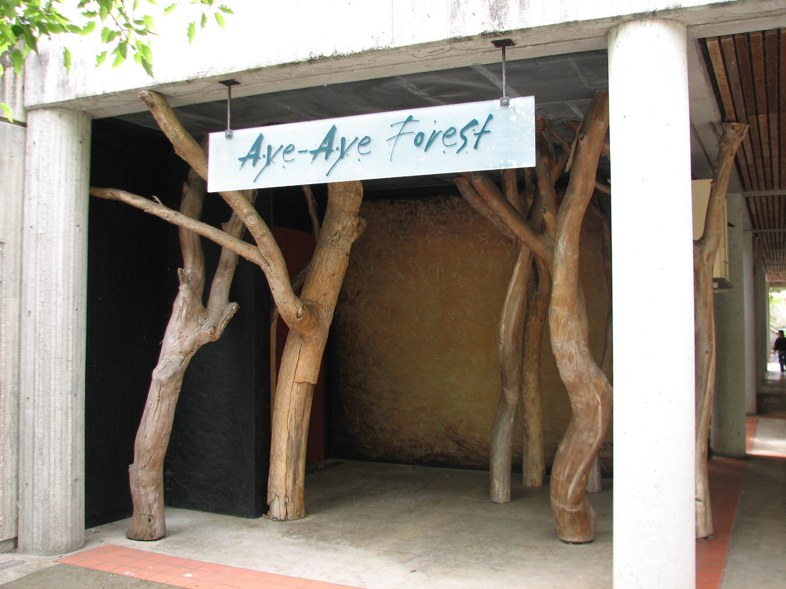 Primate Discovery Center - Aye-aye Forest Exterior
