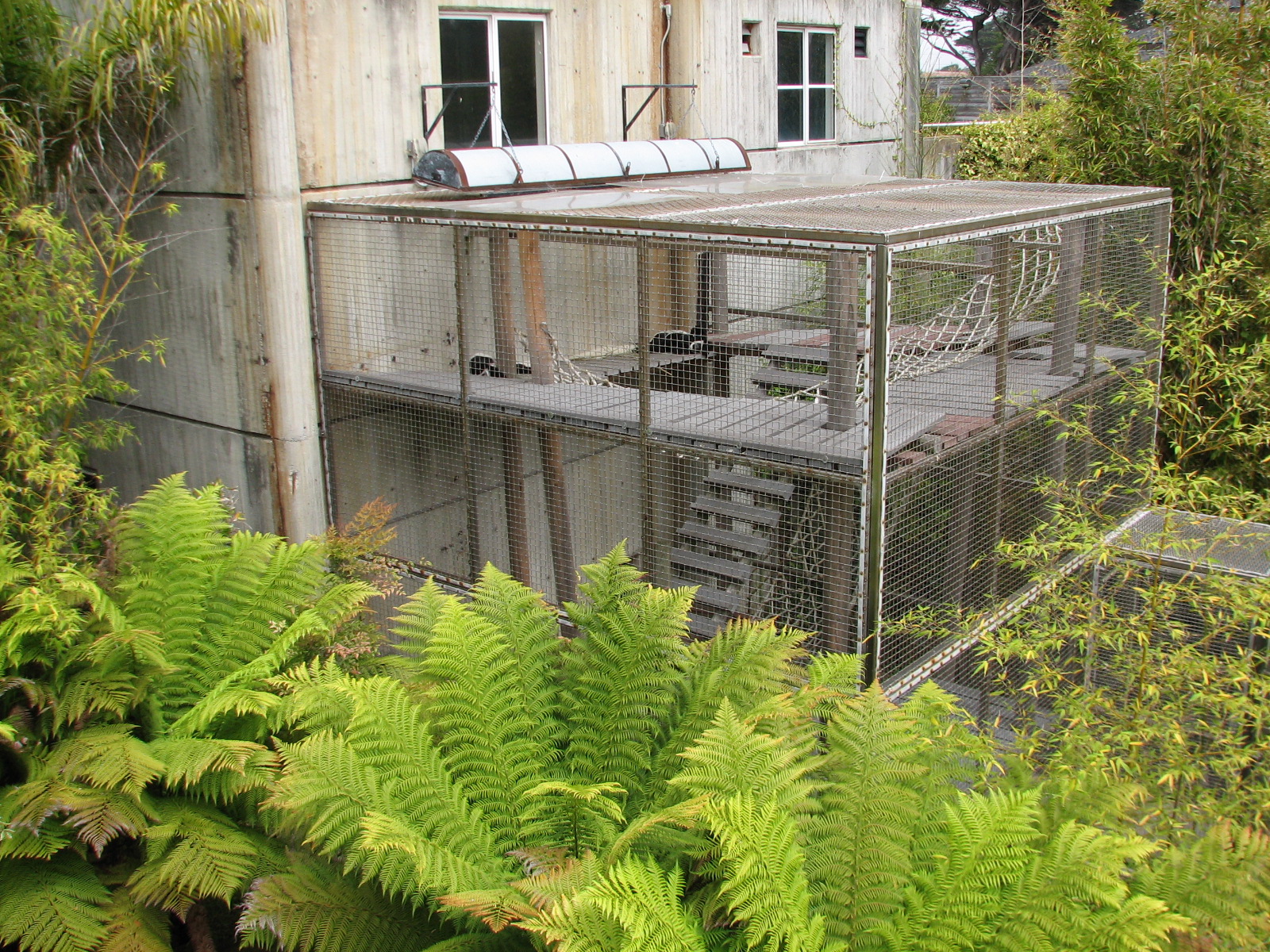 Primate Discovery Center - Black and White Colobus Monkey Exhibit
