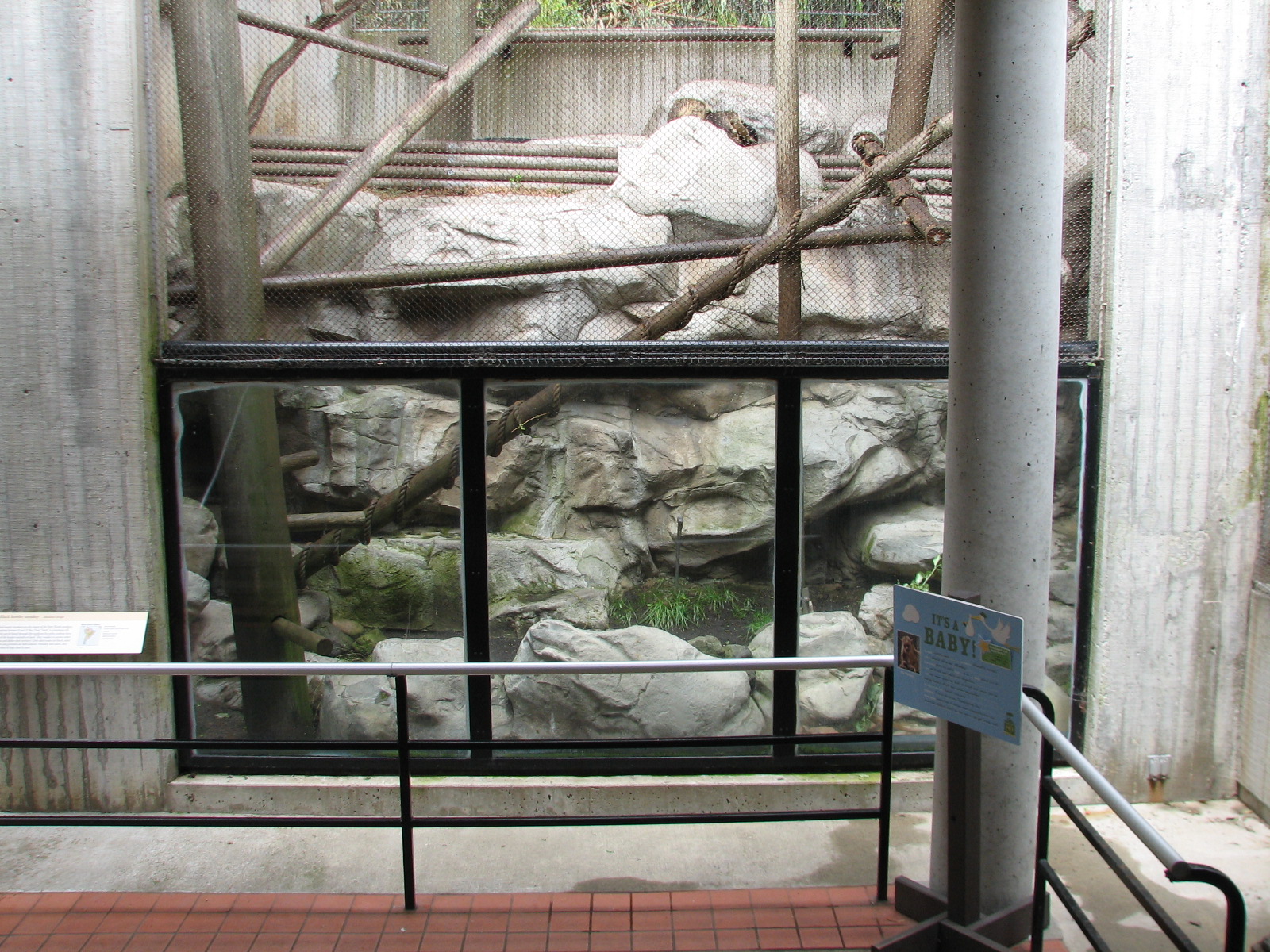 Primate Discovery Center - Black Howler Monkey Exhibit