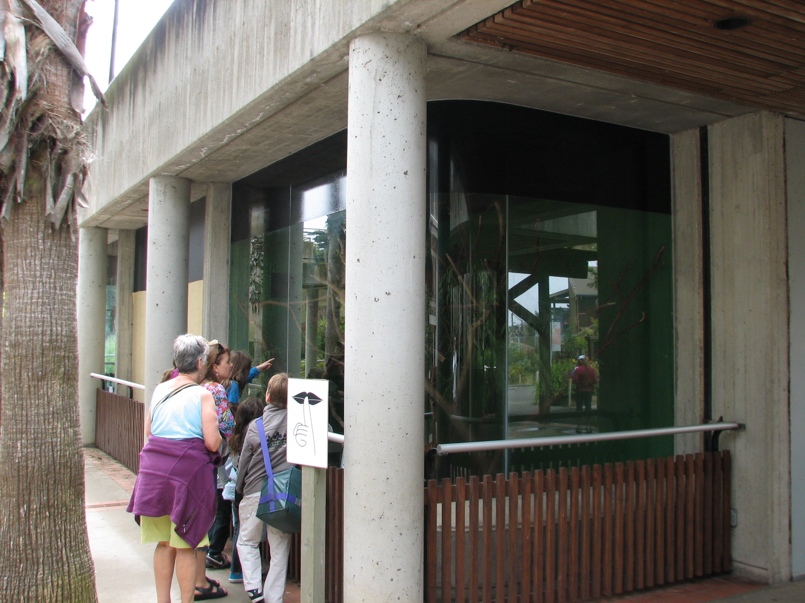 Primate Discovery Center - Emperor Tamarin Exhibit