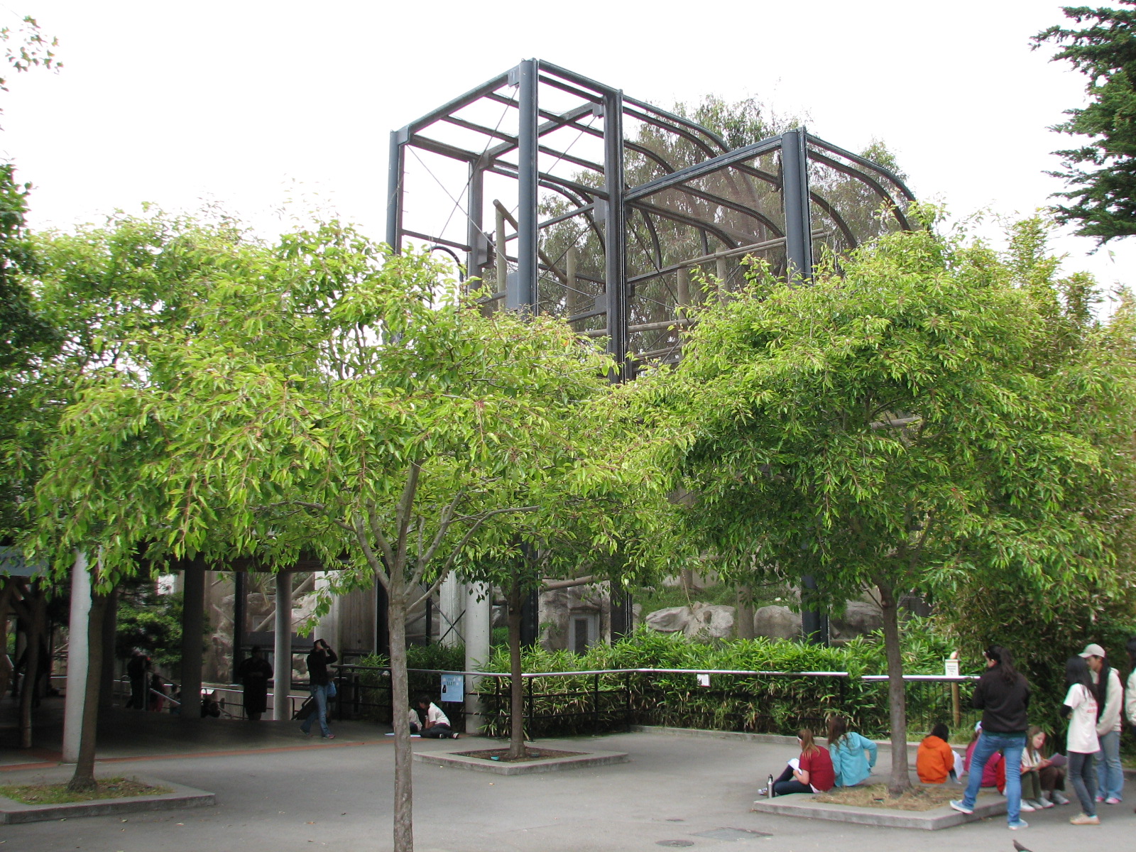 Primate Discovery Center - Francois Langur Exhibit