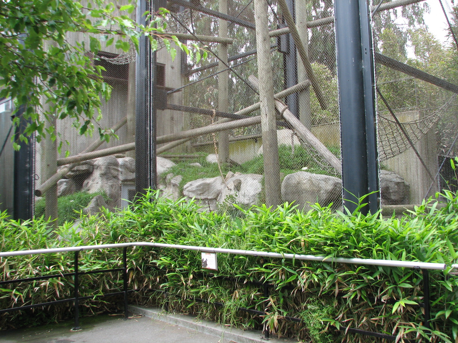 Primate Discovery Center - Francois Langur Exhibit