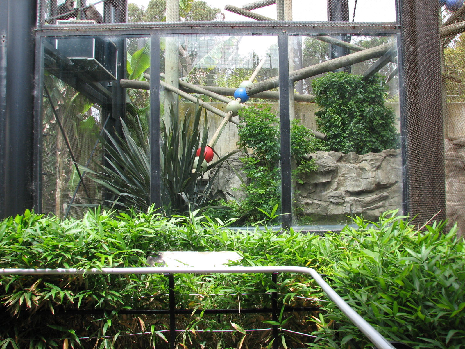 Primate Discovery Center - Lion-tailed Macaque Exhibit