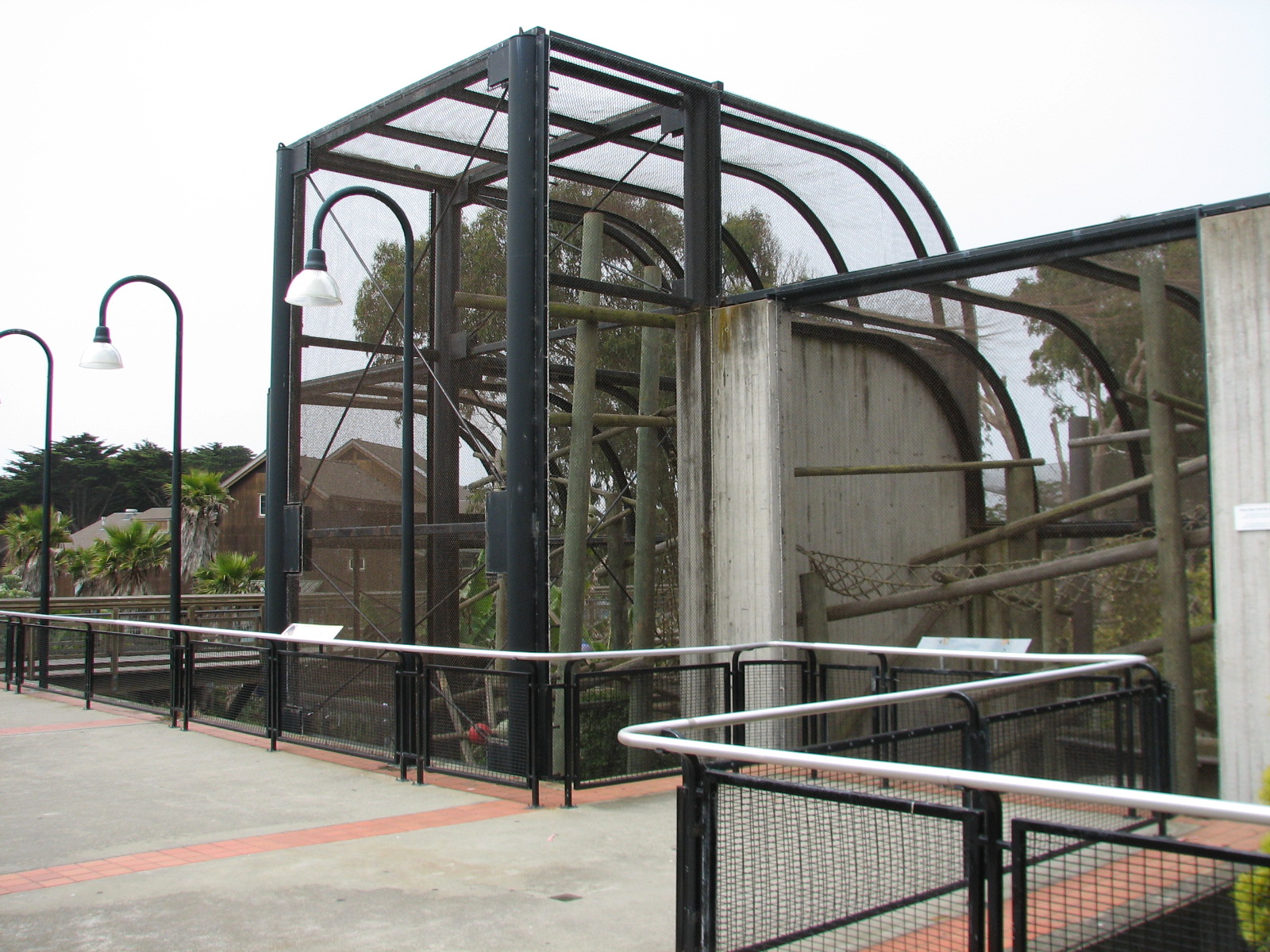 Primate Discovery Center - Lion-tailed Macaque Exhibit