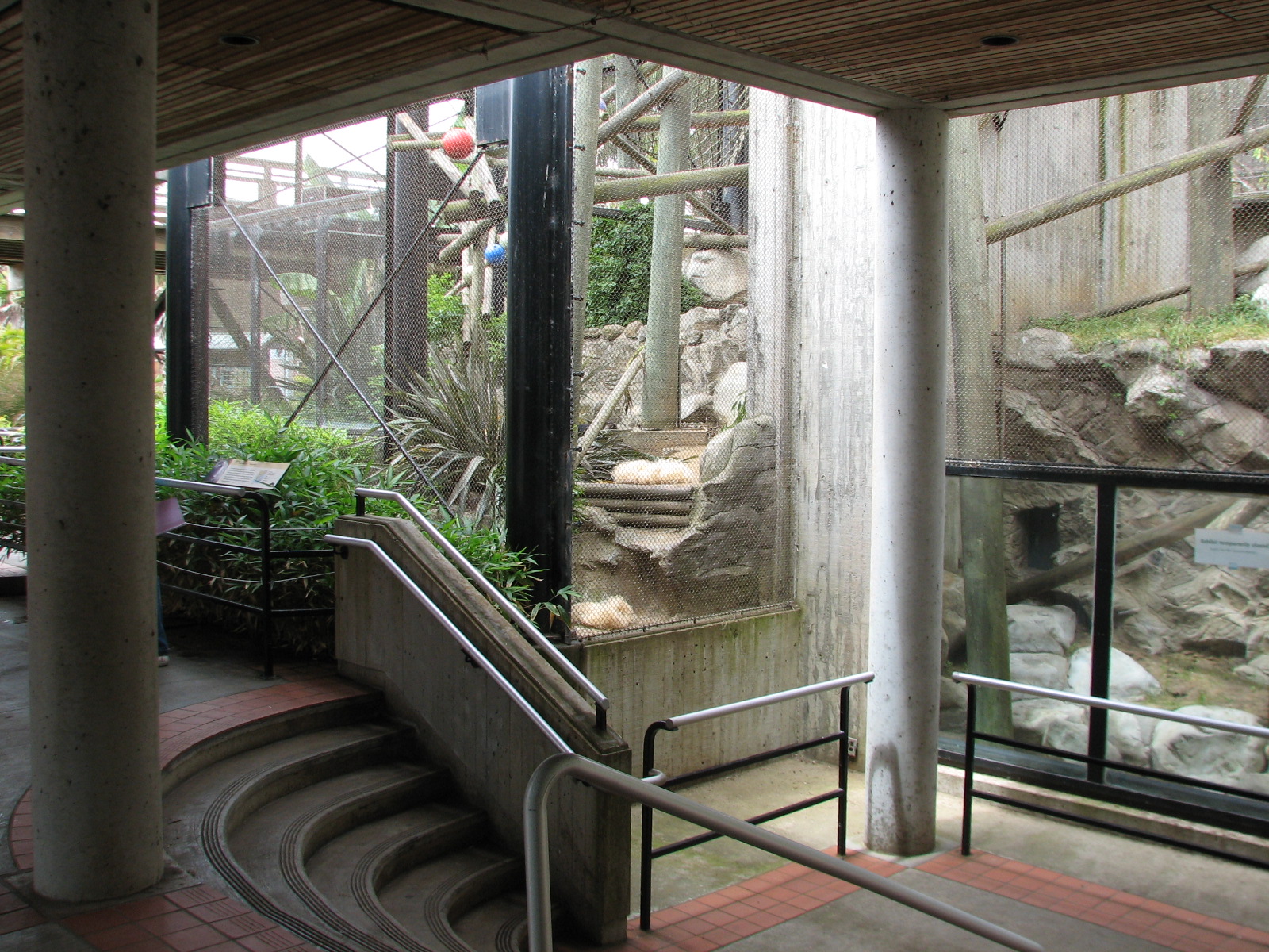 Primate Discovery Center - Lower Viewing Area