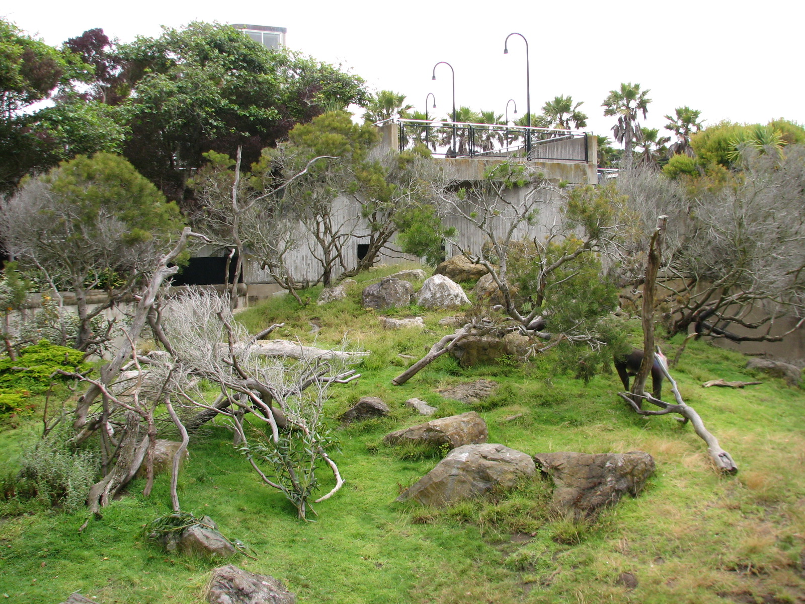Primate Discovery Center - Mandrill Exhibit