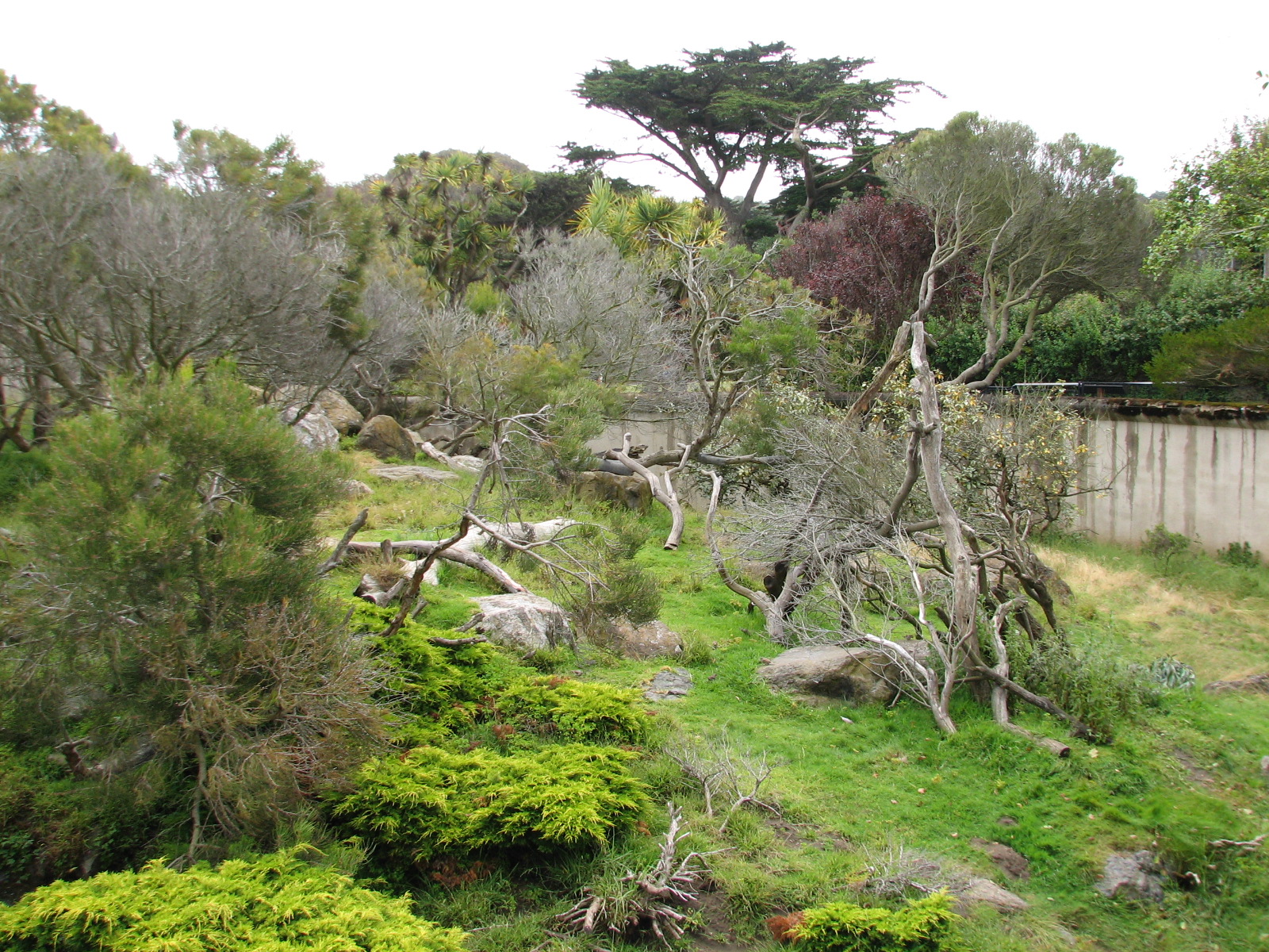 Primate Discovery Center - Mandrill Exhibit