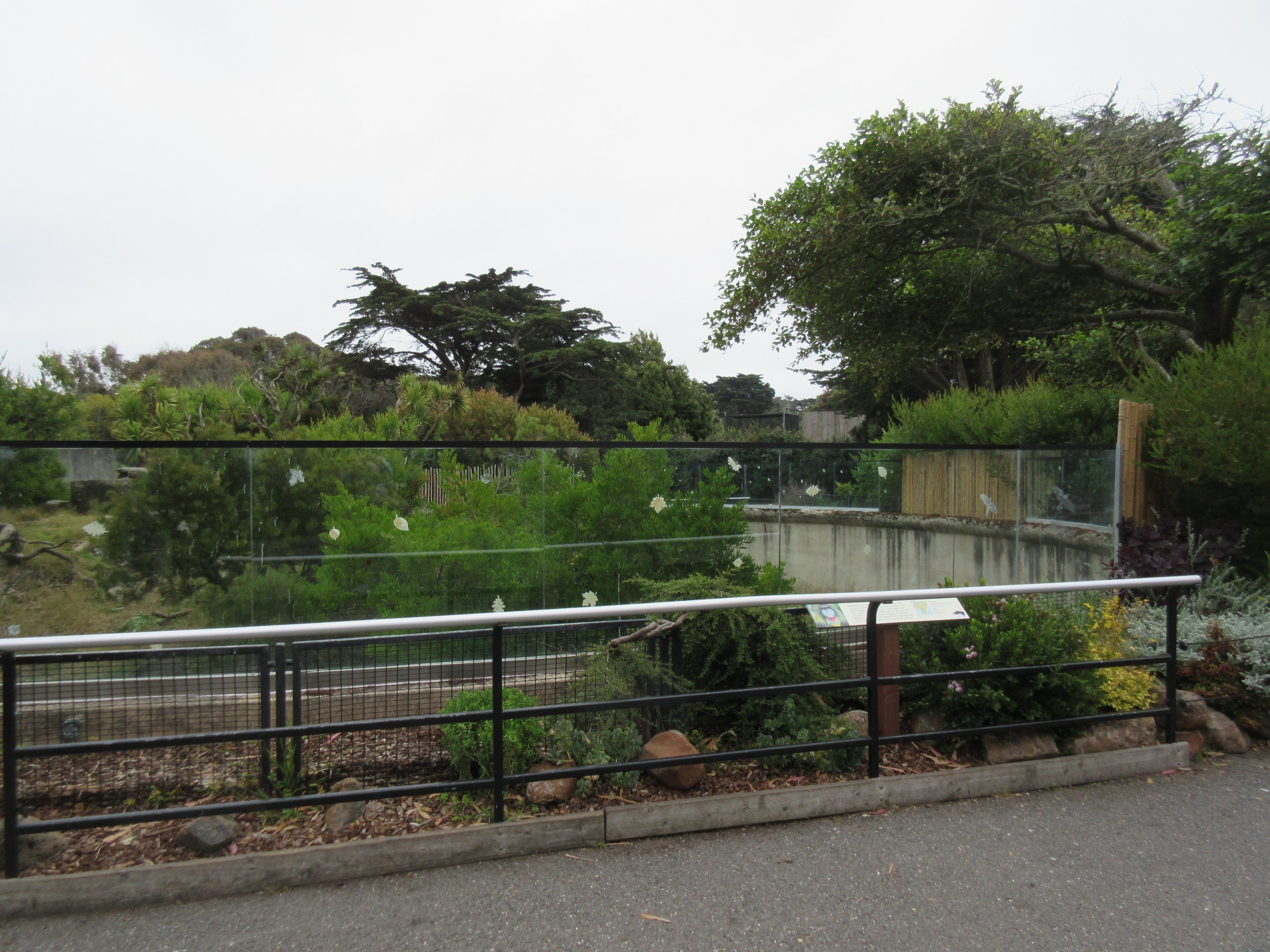 Primate Discovery Center - Mandrill Exhibit