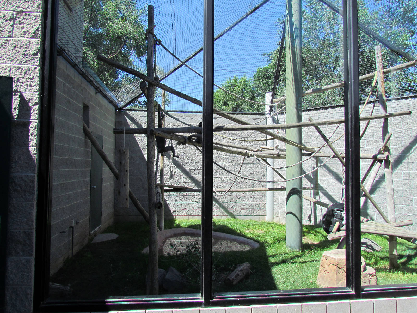 Primate Discovery Center - Outdoor Gibbon Exhibit