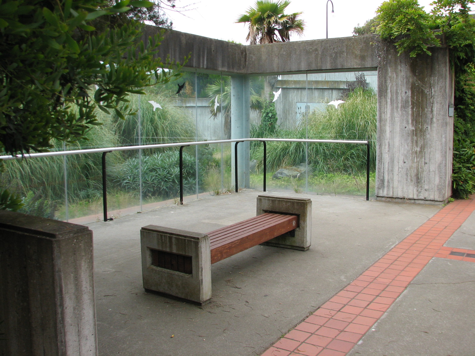 Primate Discovery Center - Patas Monkey Exhibit Viewing Area