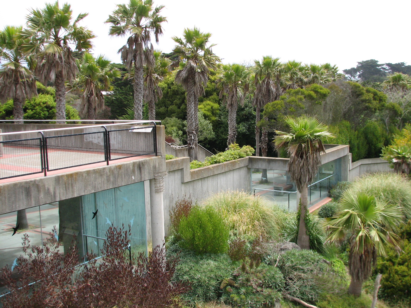 Primate Discovery Center - Patas Monkey Exhibit